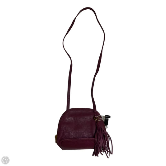 Crossbody Designer By Hobo Intl, Size: Small