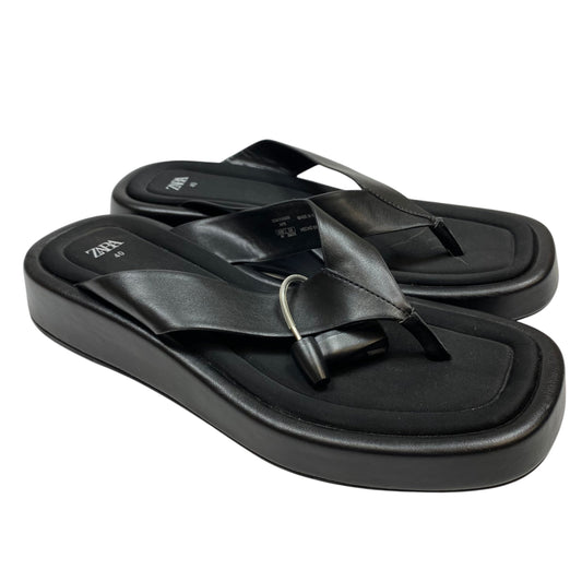 Sandals Flip Flops By Zara In Black, Size: 9.5