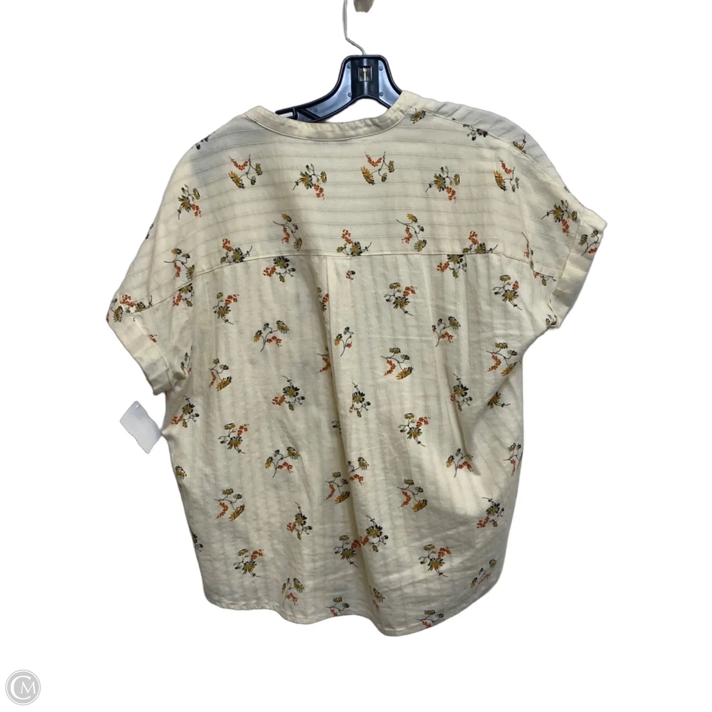 Top Short Sleeve By Madewell In Cream, Size: S