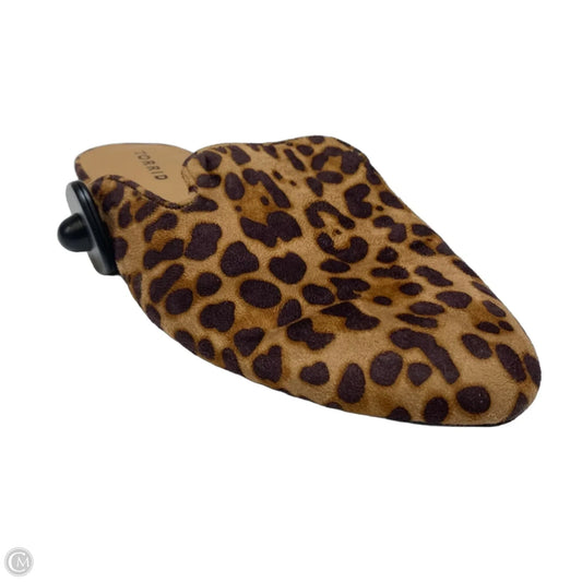 Shoes Flats By Torrid In Animal Print, Size: 10.5