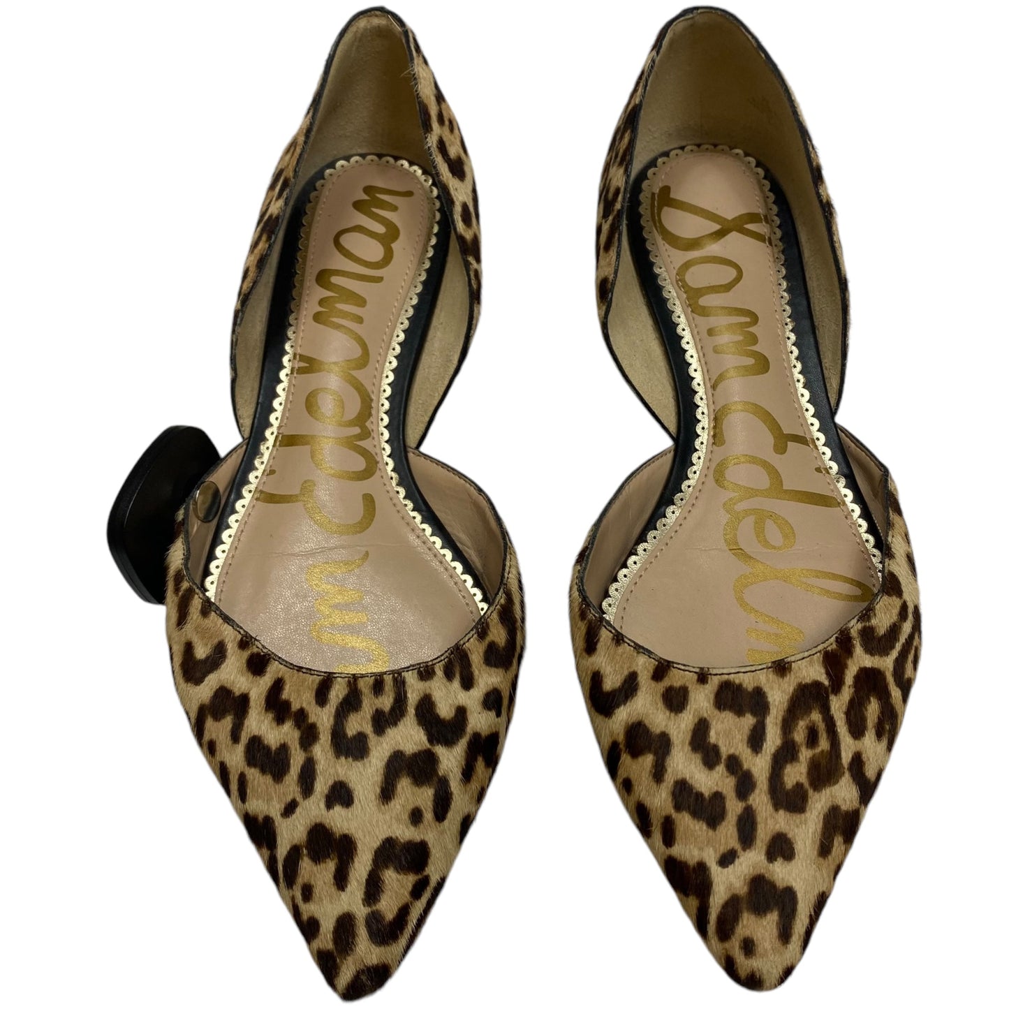 Shoes Flats By Sam Edelman In Animal Print, Size: 7.5