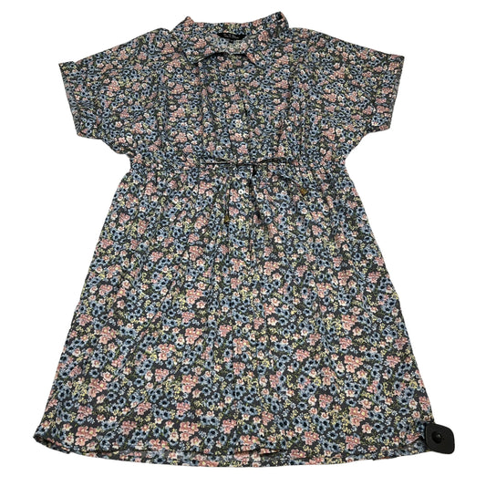 Dress Casual Short By Time to Bloom  Size: 2x