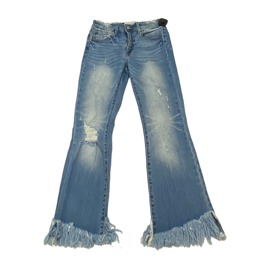 Blue Denim Jeans Straight Clothes Mentor, Size 2