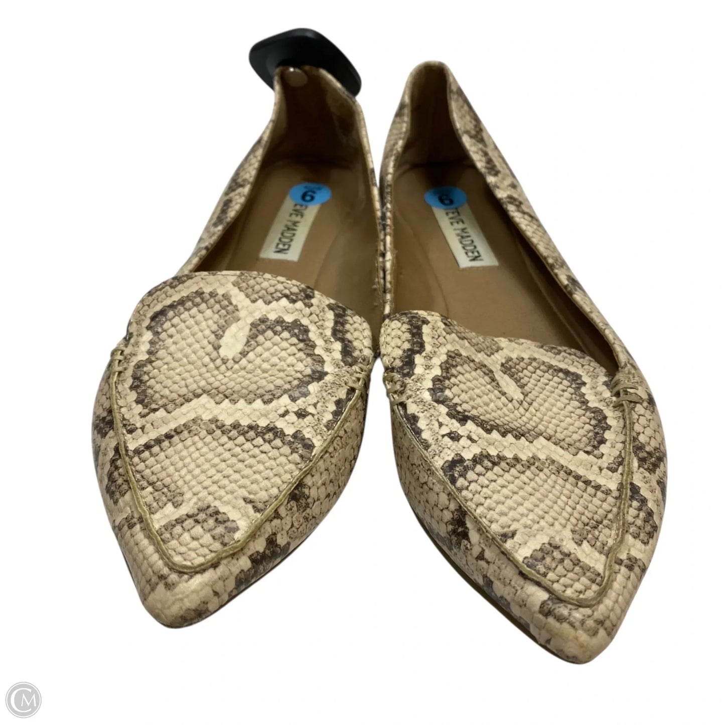 Shoes Flats By Steve Madden In Snakeskin Print, Size: 6