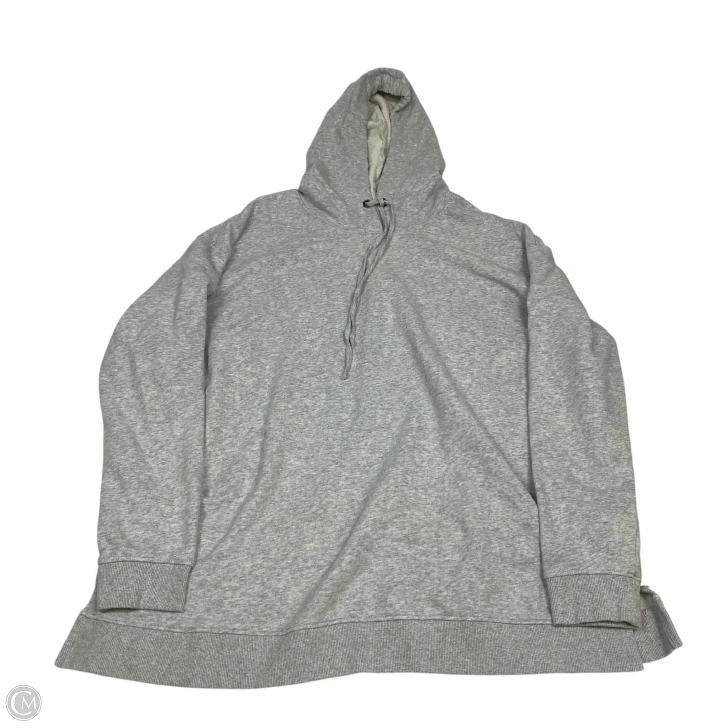 Sweatshirt Hoodie By Natural Reflections In Grey, Size: L