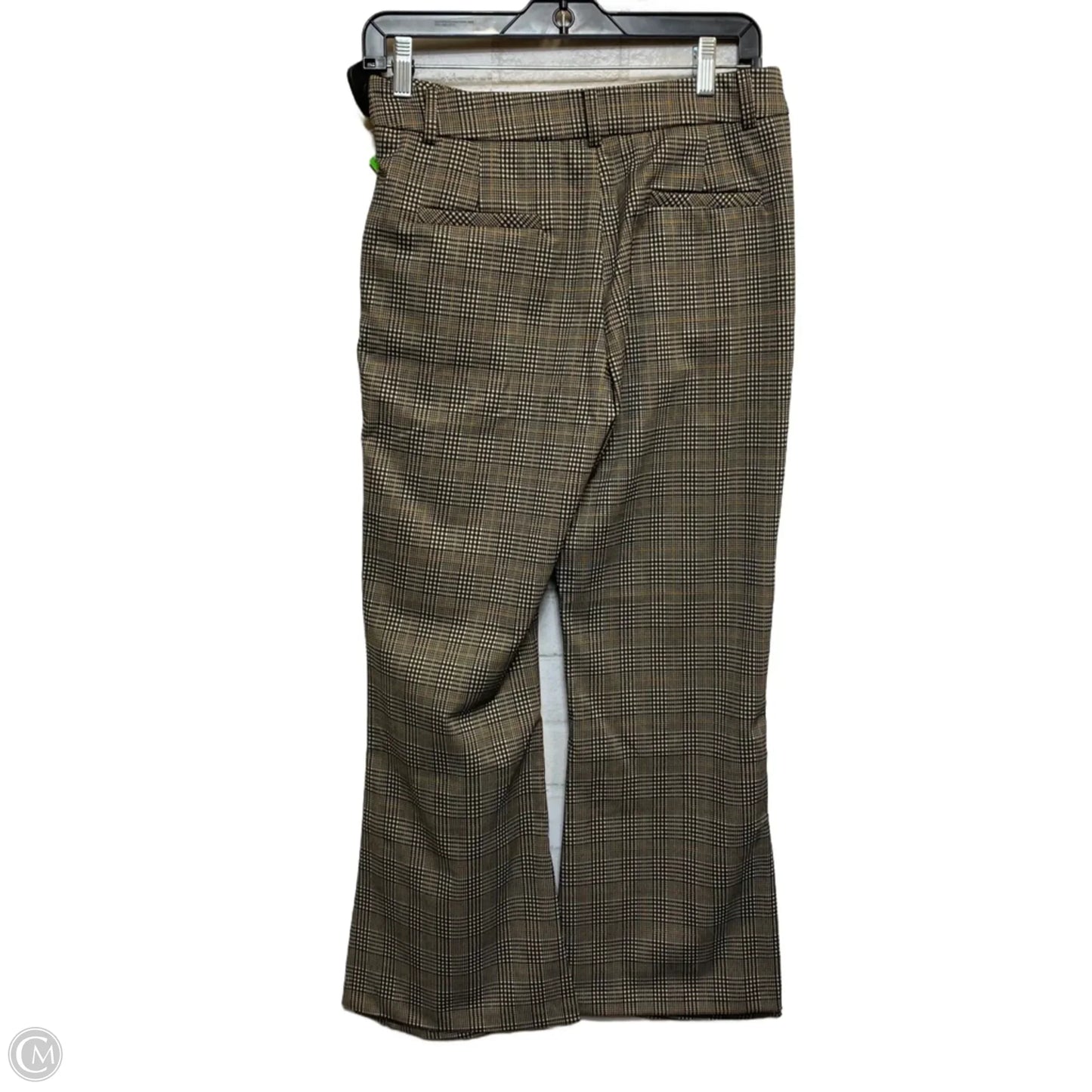 Pants Other By Kancan In Black & Tan, Size: M