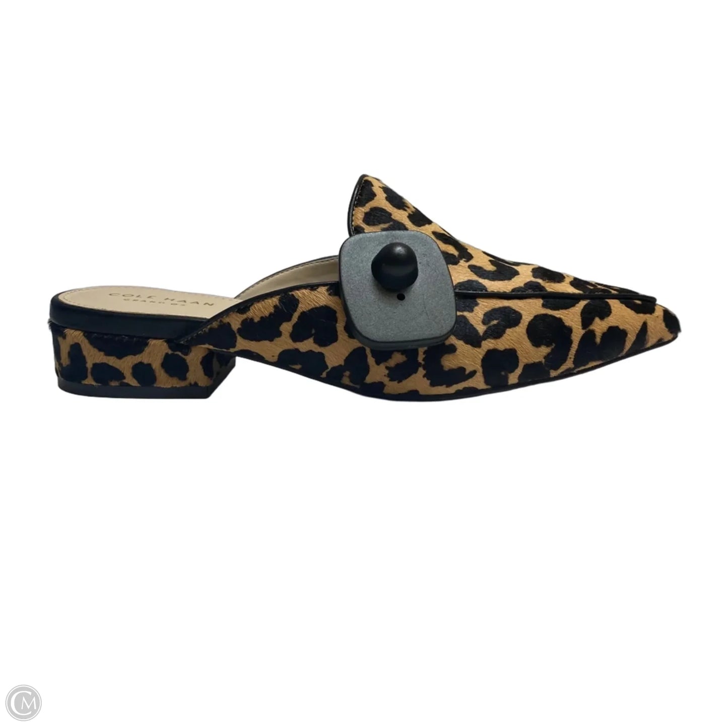 Shoes Designer By Cole-haan In Animal Print, Size: 7