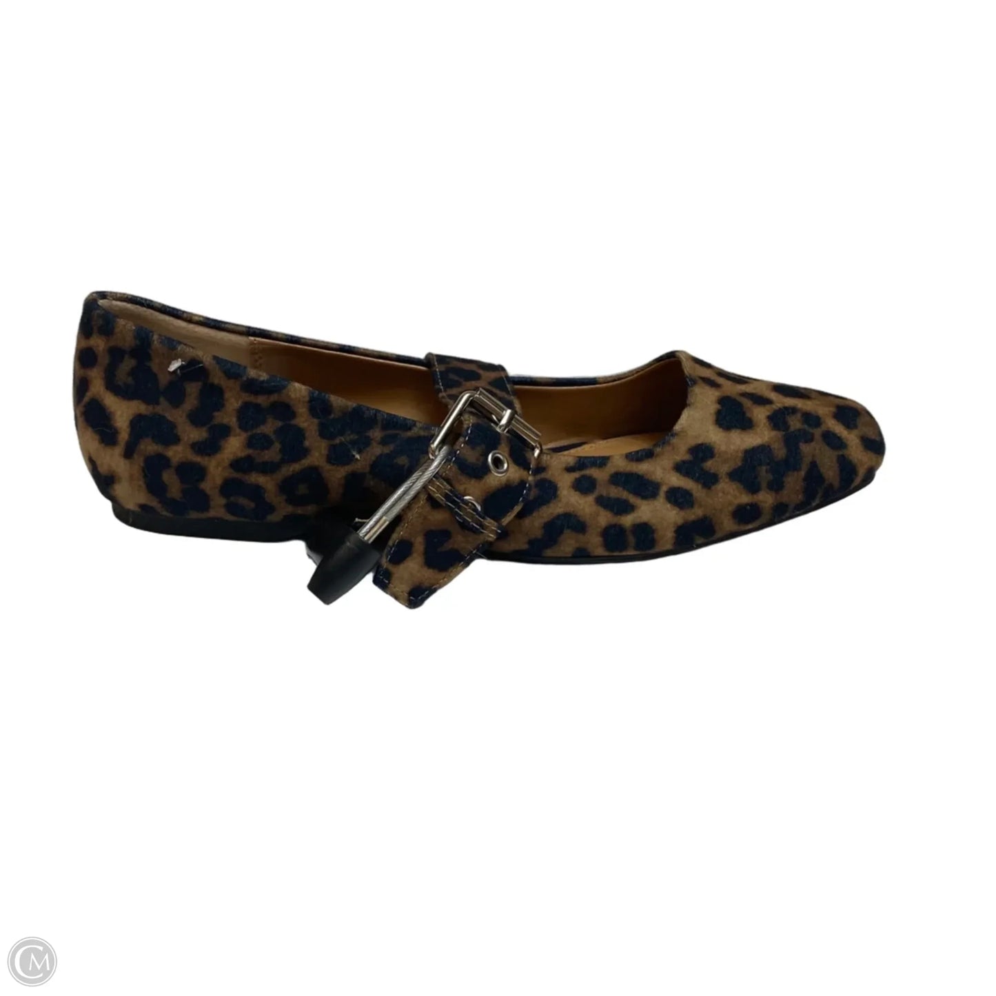 Shoes Flats By Dolce Vita In Animal Print, Size: 8.5