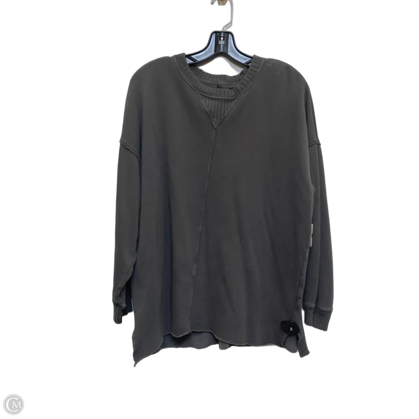 Sweatshirt Crewneck By Aerie In Grey, Size: Xs