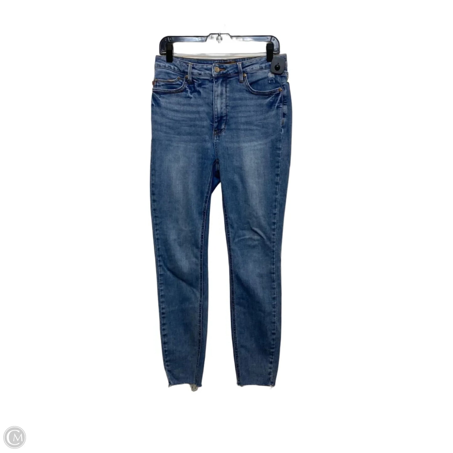 Jeans Skinny By Judy Blue In Blue Denim, Size: 10