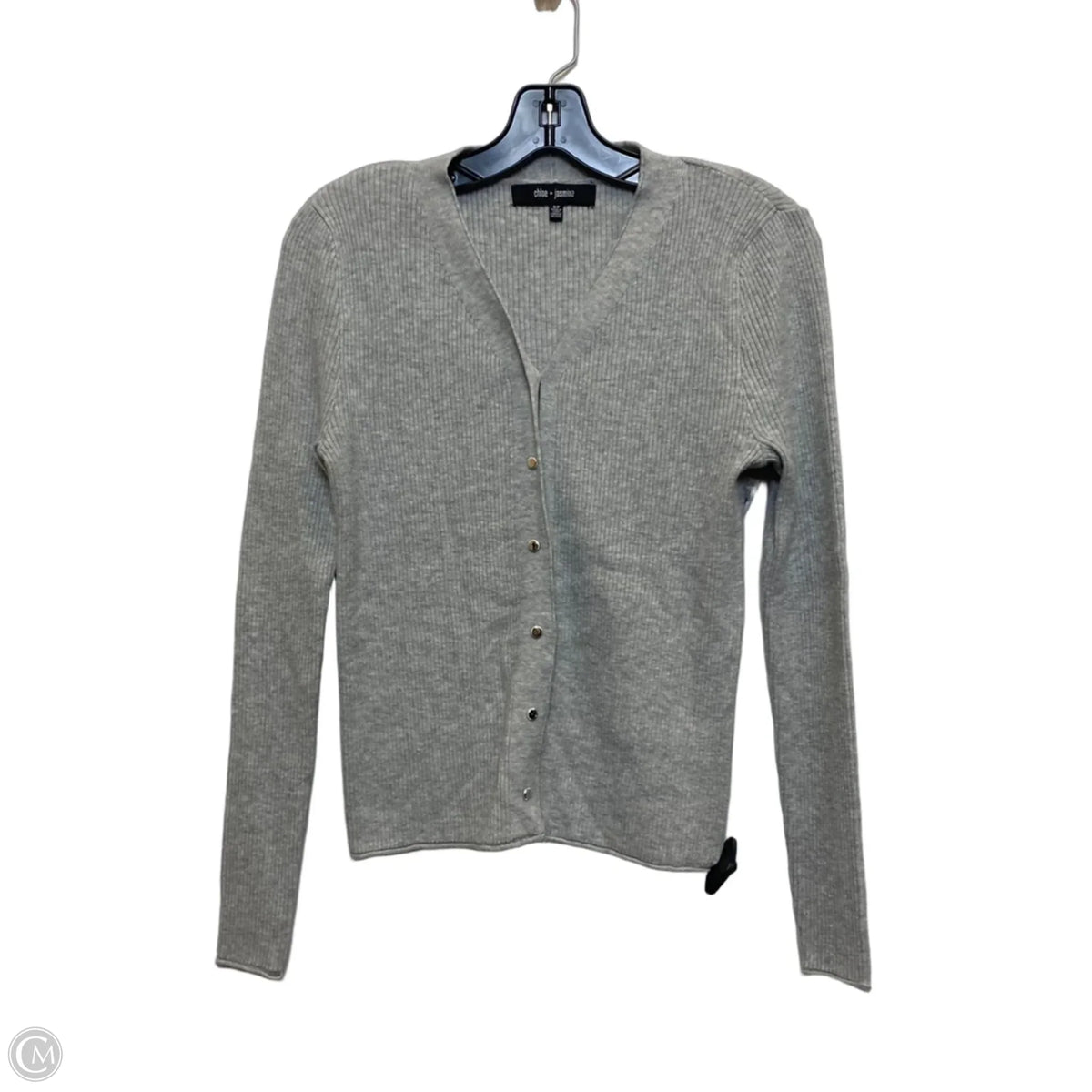 Top Long Sleeve By Chloe + Jasmine In Grey, Size: S