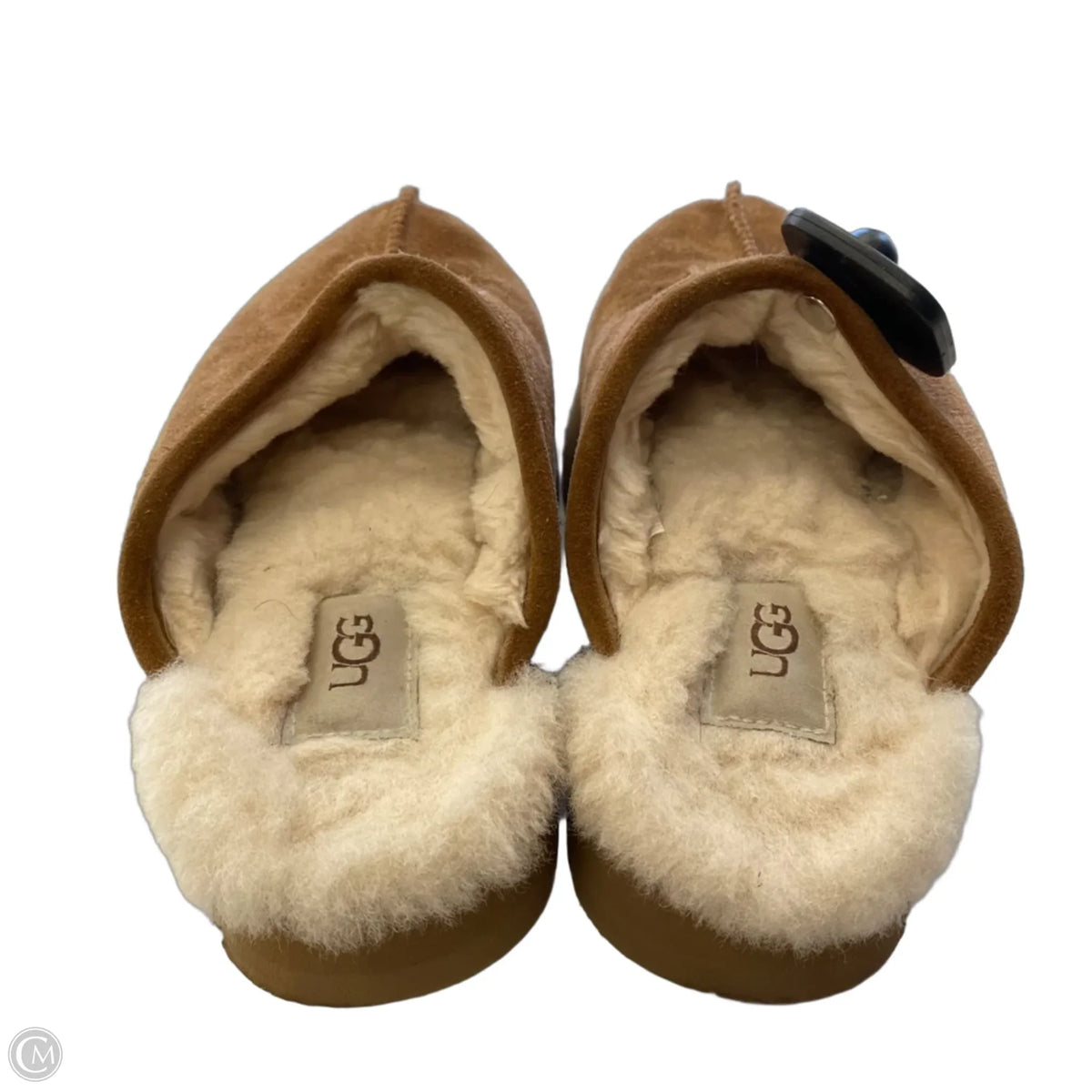 Shoes Designer By Ugg In Brown, Size: 5