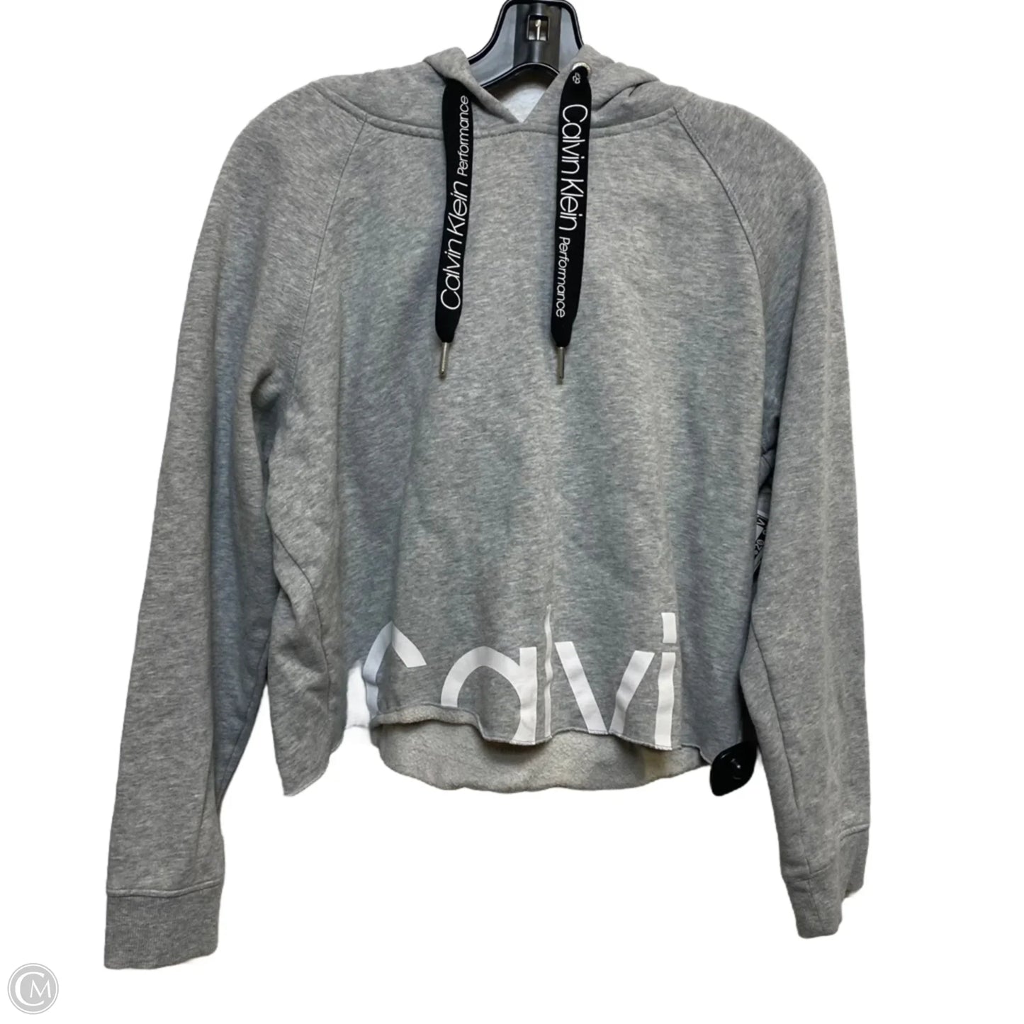 Sweatshirt Hoodie By Calvin Klein In Grey, Size: L