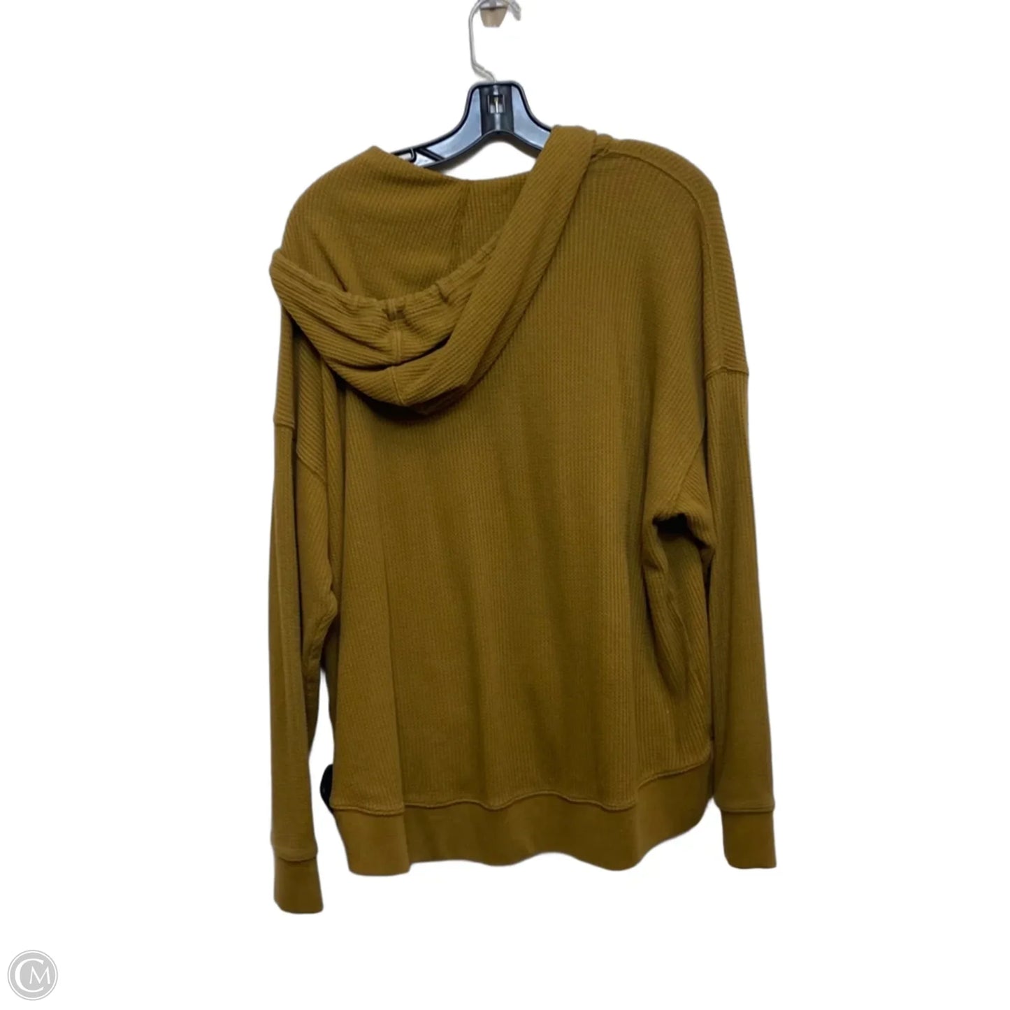 Sweatshirt Hoodie By Aerie In Green, Size: S