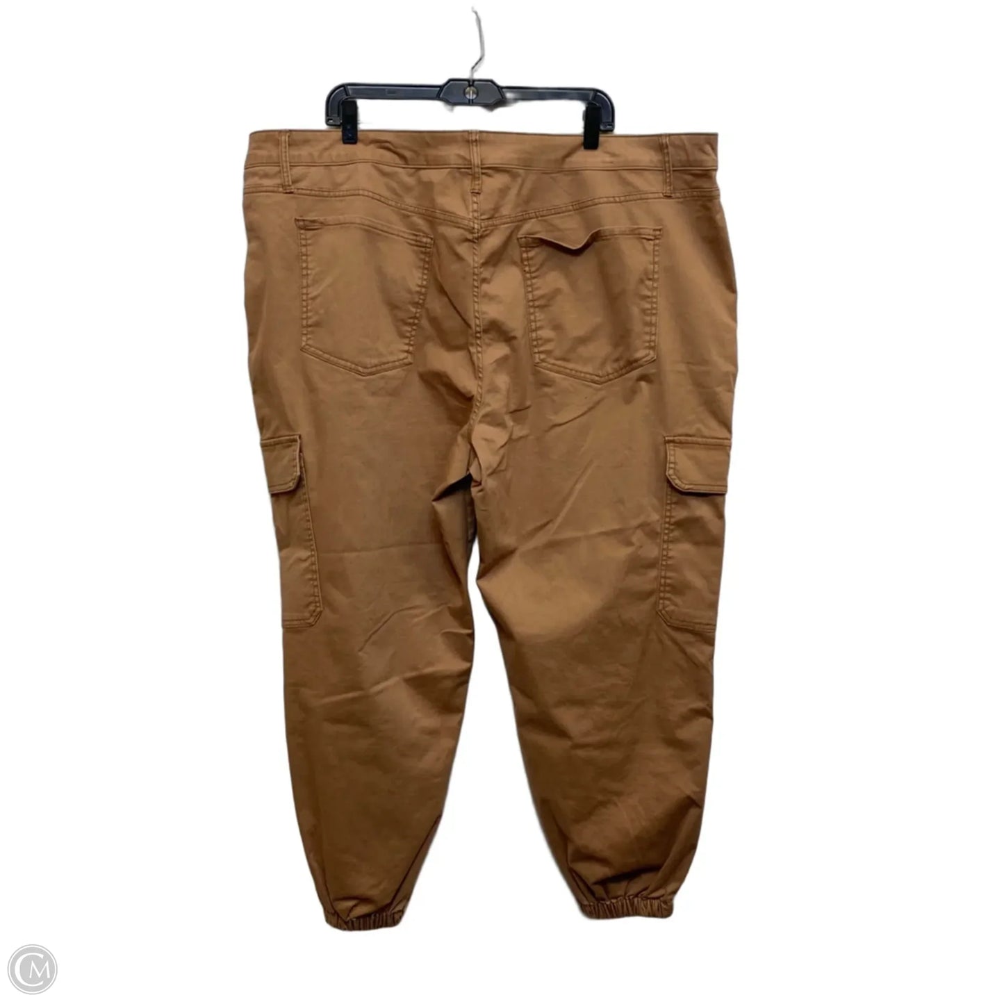 Pants Cargo & Utility By Terra & Sky In Brown, Size: 24