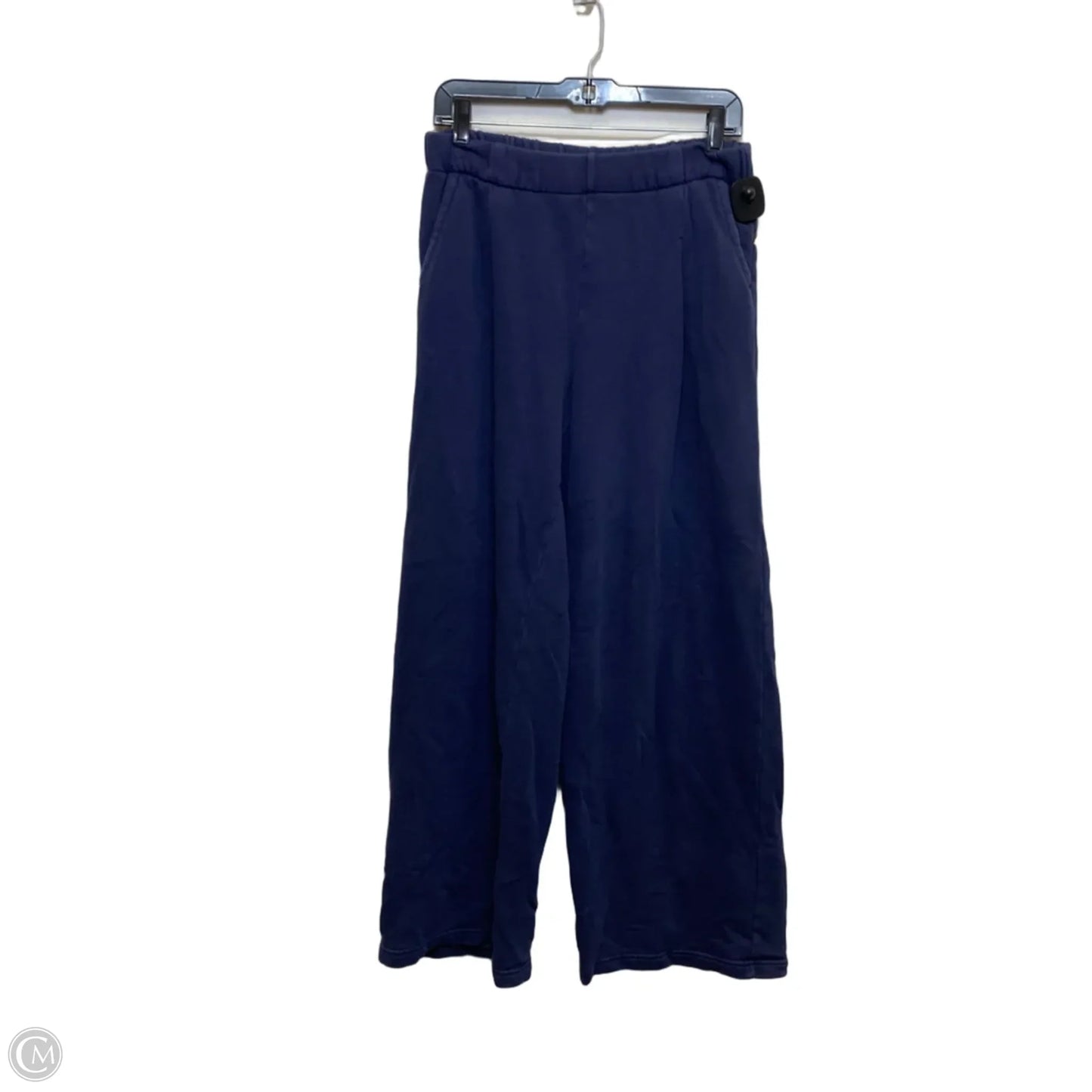 Pants Lounge By Aerie In Blue, Size: M