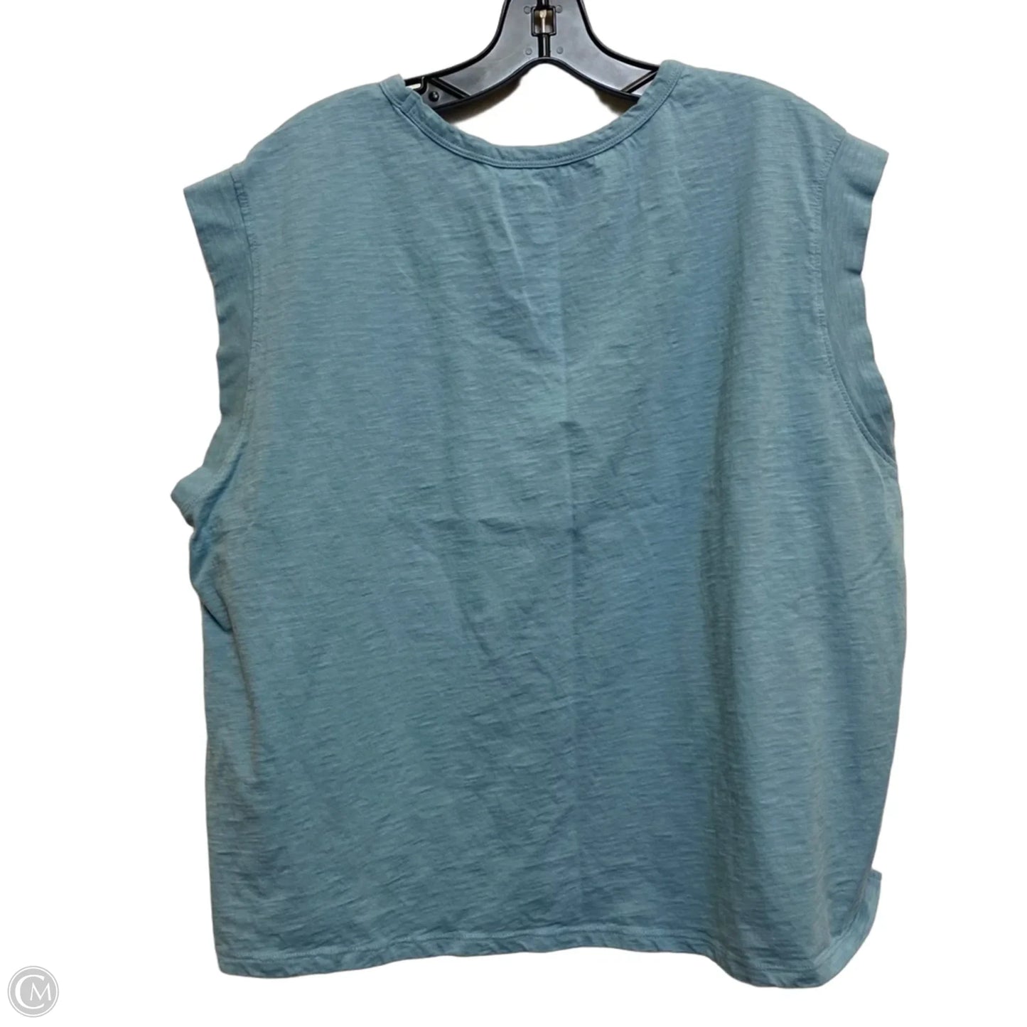 Top Sleeveless By Time And Tru In Blue, Size: 2x