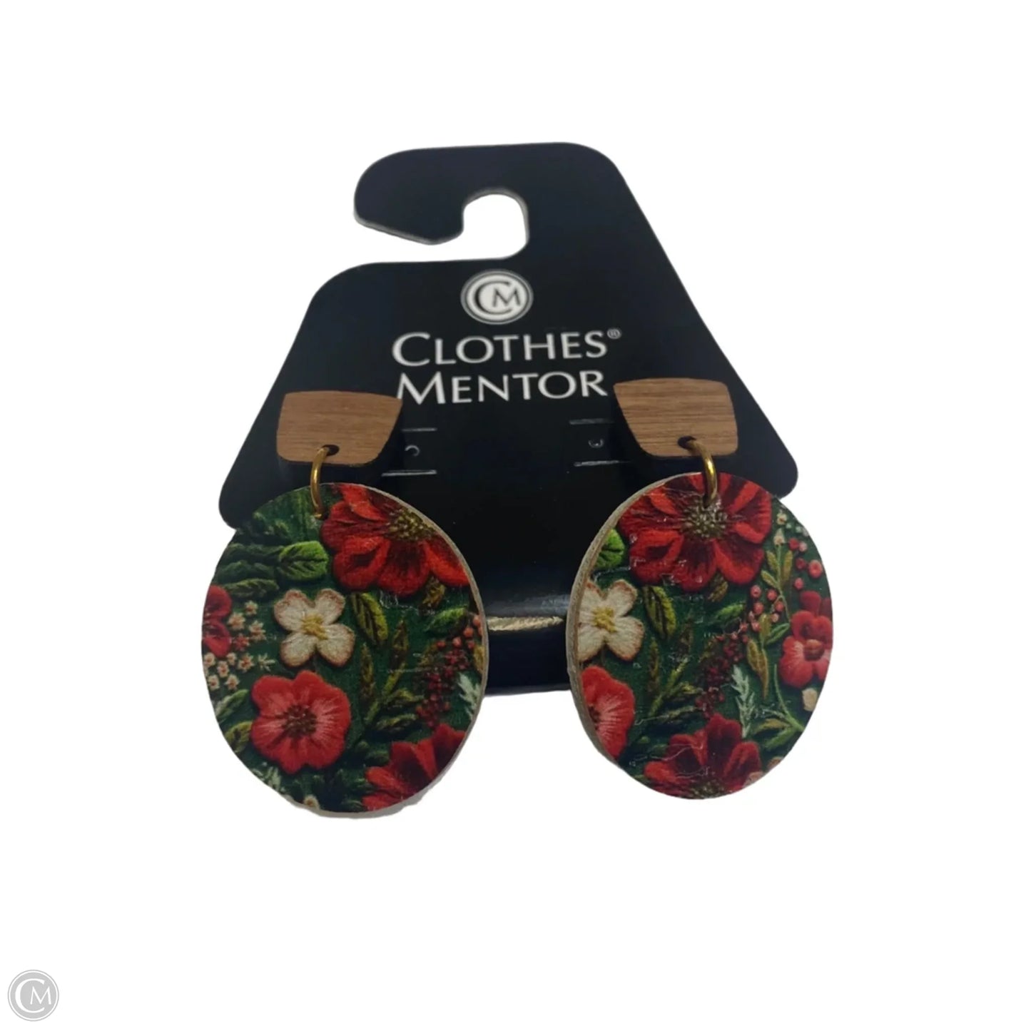 Earrings Dangle/drop By Clothes Mentor