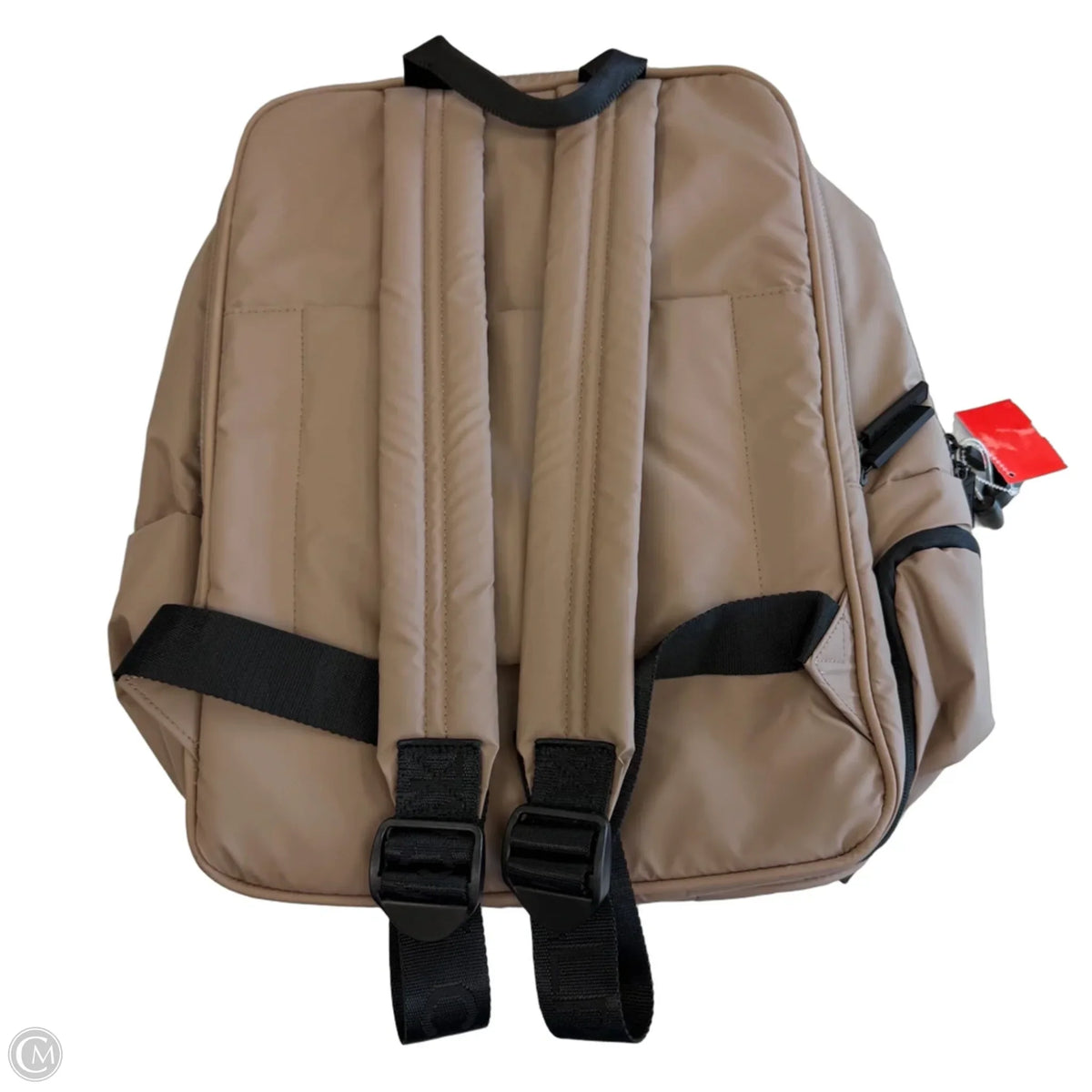 Backpack By Calpak, Size: Large