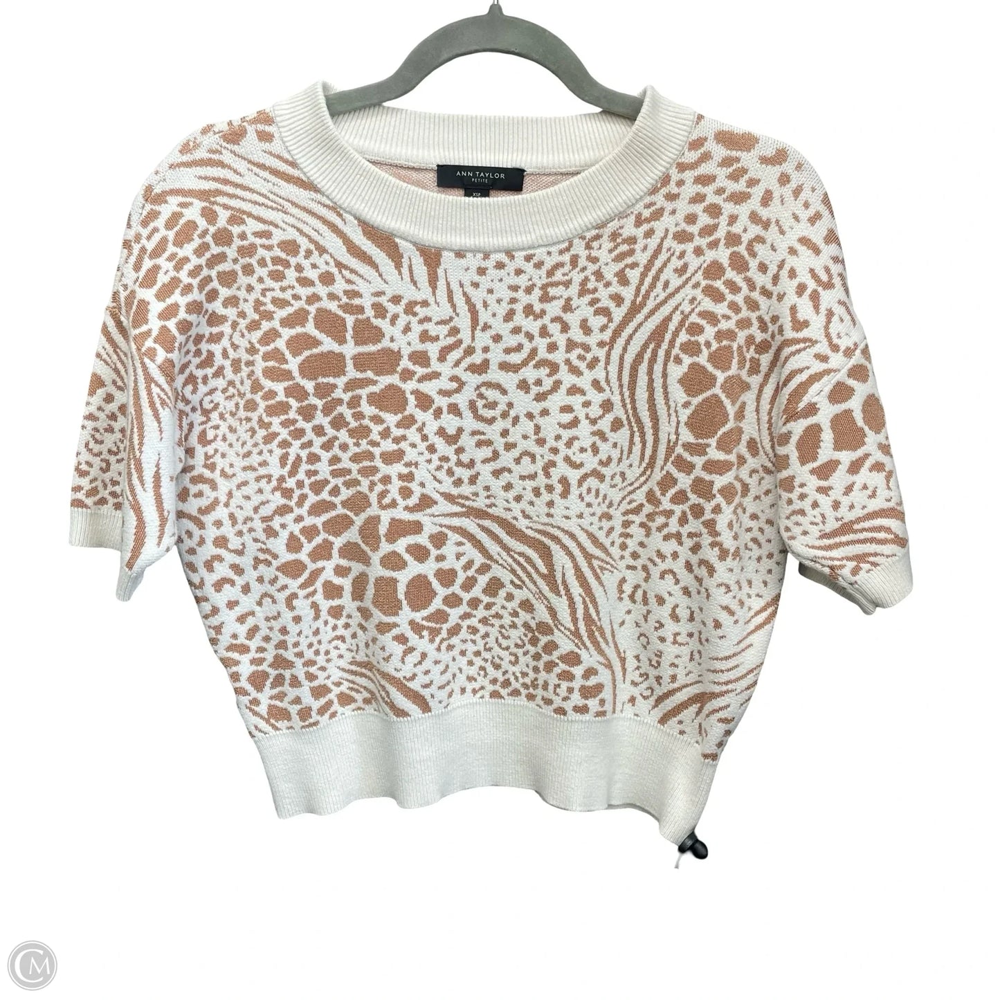 Sweater Short Sleeve By Ann Taylor In Tan & White, Size: Xsp
