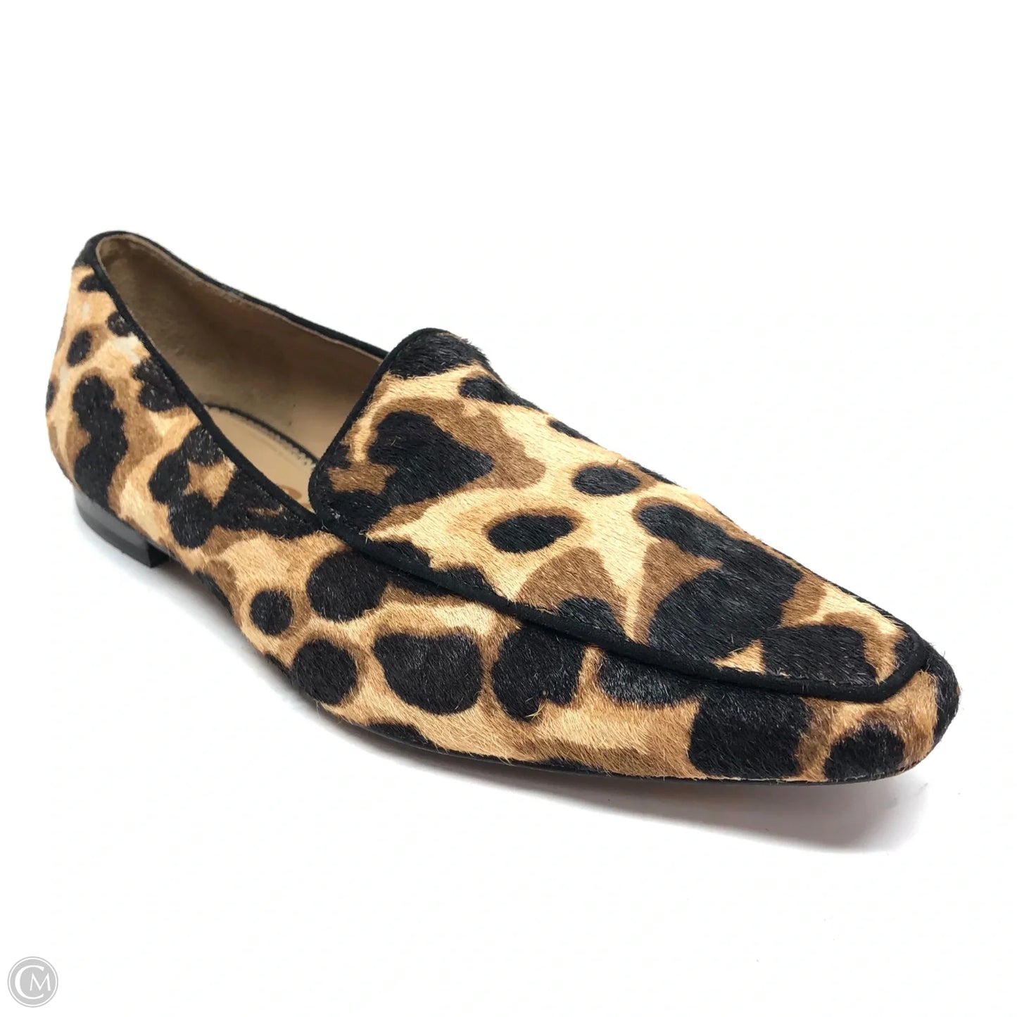 Shoes Flats By Sam Edelman In Leopard Print, Size: 7