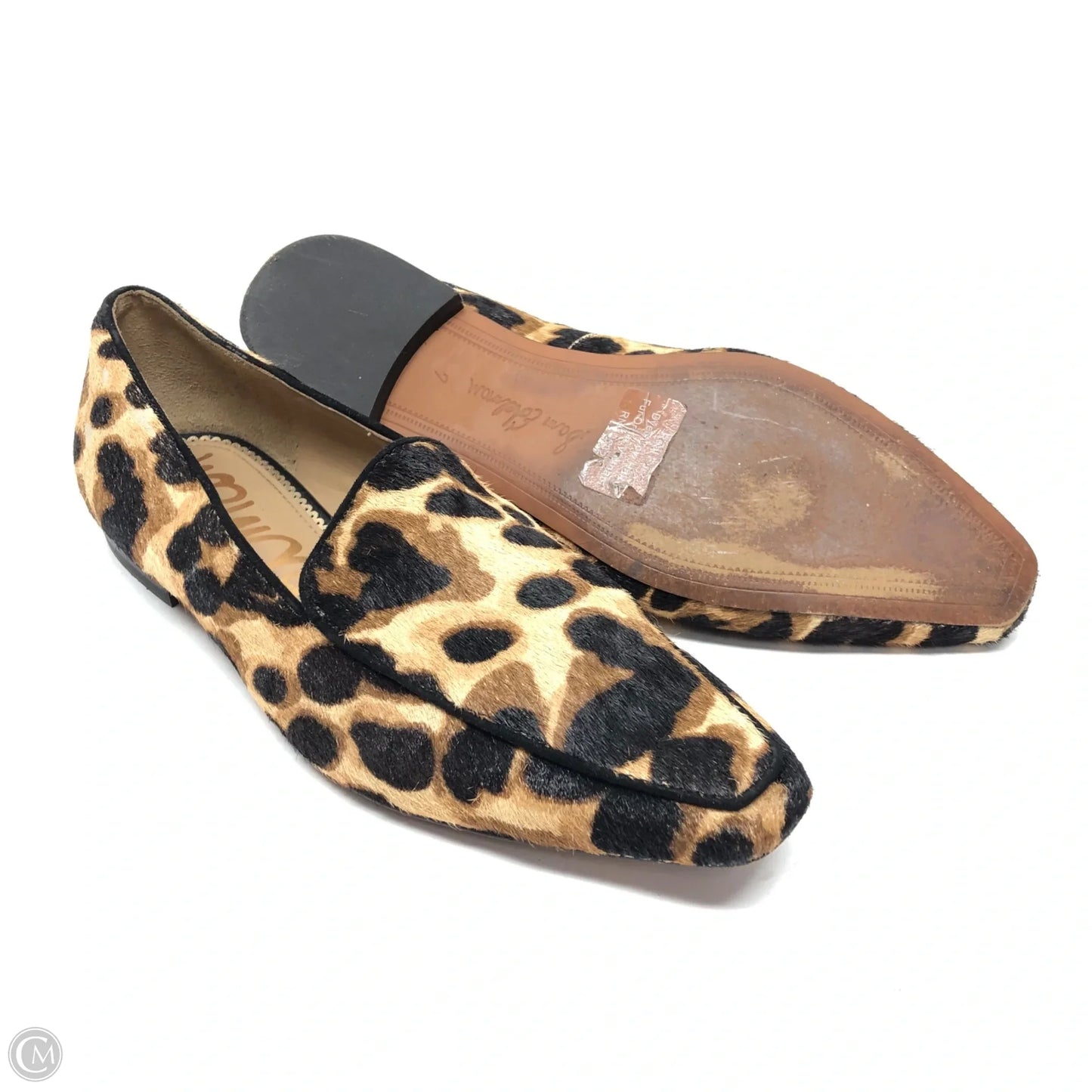 Shoes Flats By Sam Edelman In Leopard Print, Size: 7