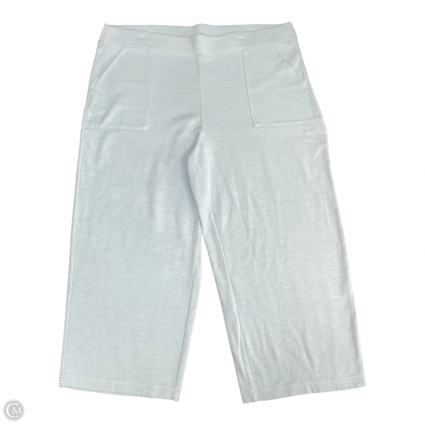 Pants Lounge By Chicos In Blue, Size: Xl