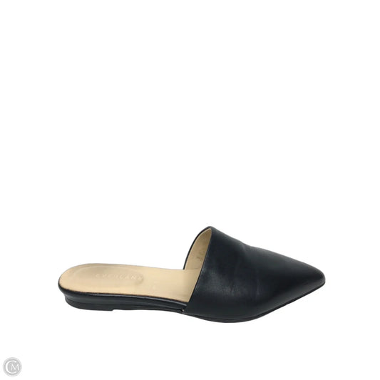 Shoes Flats By Everlane In Black, Size: 6.5