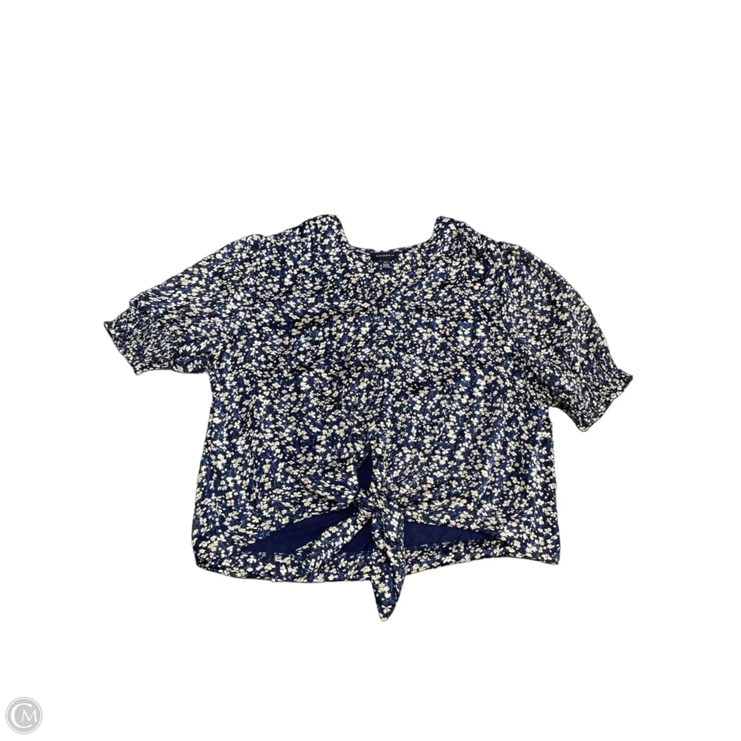 Blouse Short Sleeve By Tamara H In Blue & Cream, Size: Xl
