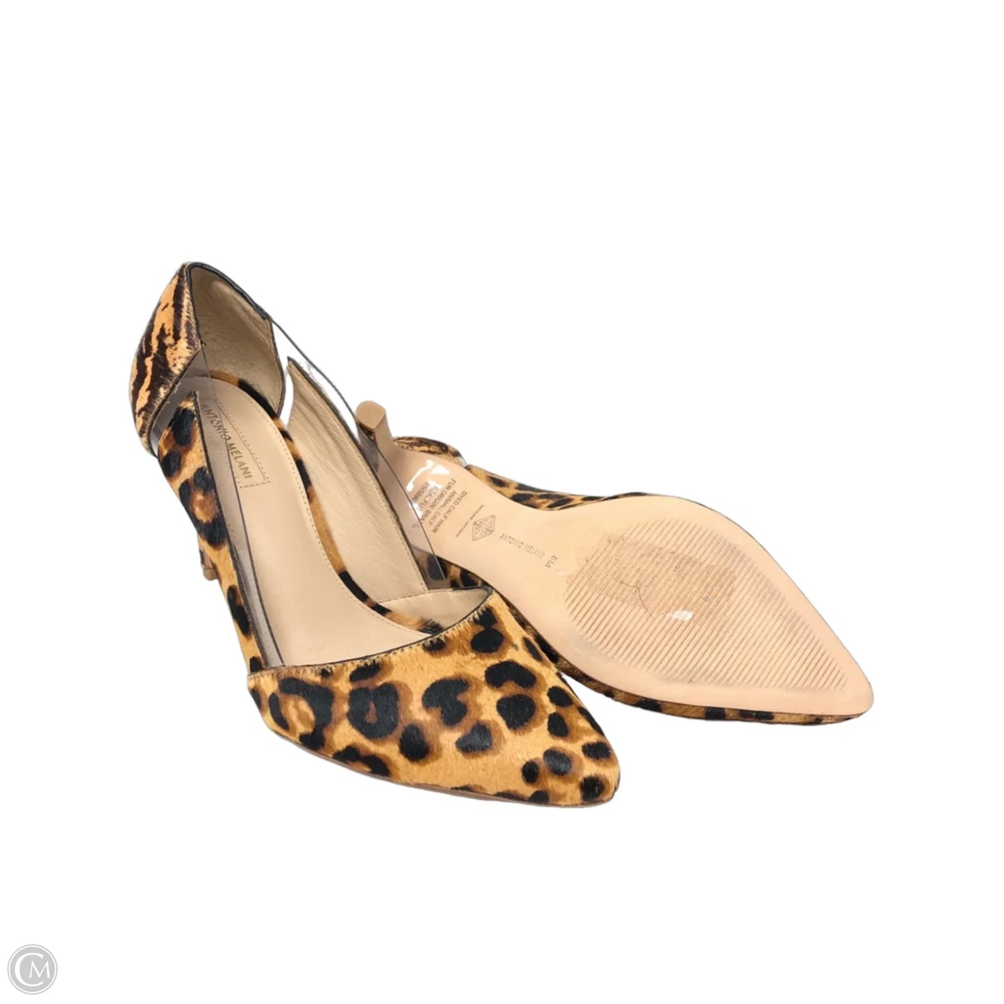 Shoes Heels Stiletto By Antonio Melani In Leopard Print, Size: 8