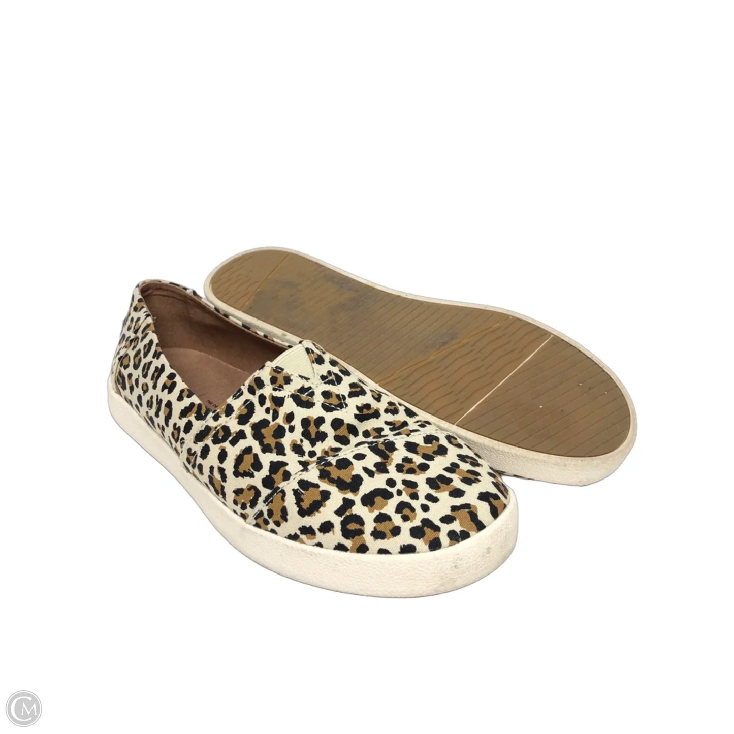 Shoes Sneakers By Toms In Leopard Print, Size: 8