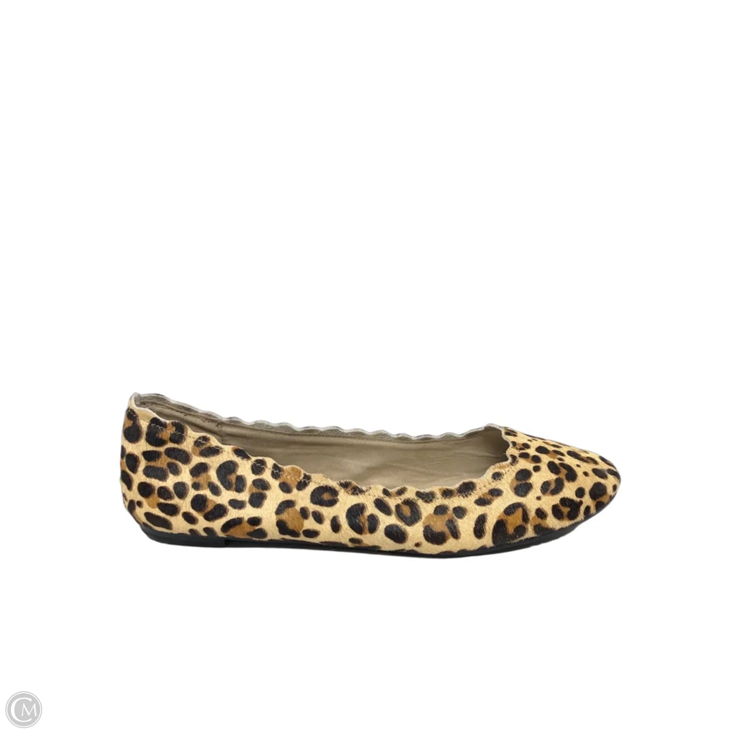 Shoes Flats By Kelly And Katie In Leopard Print, Size: 11