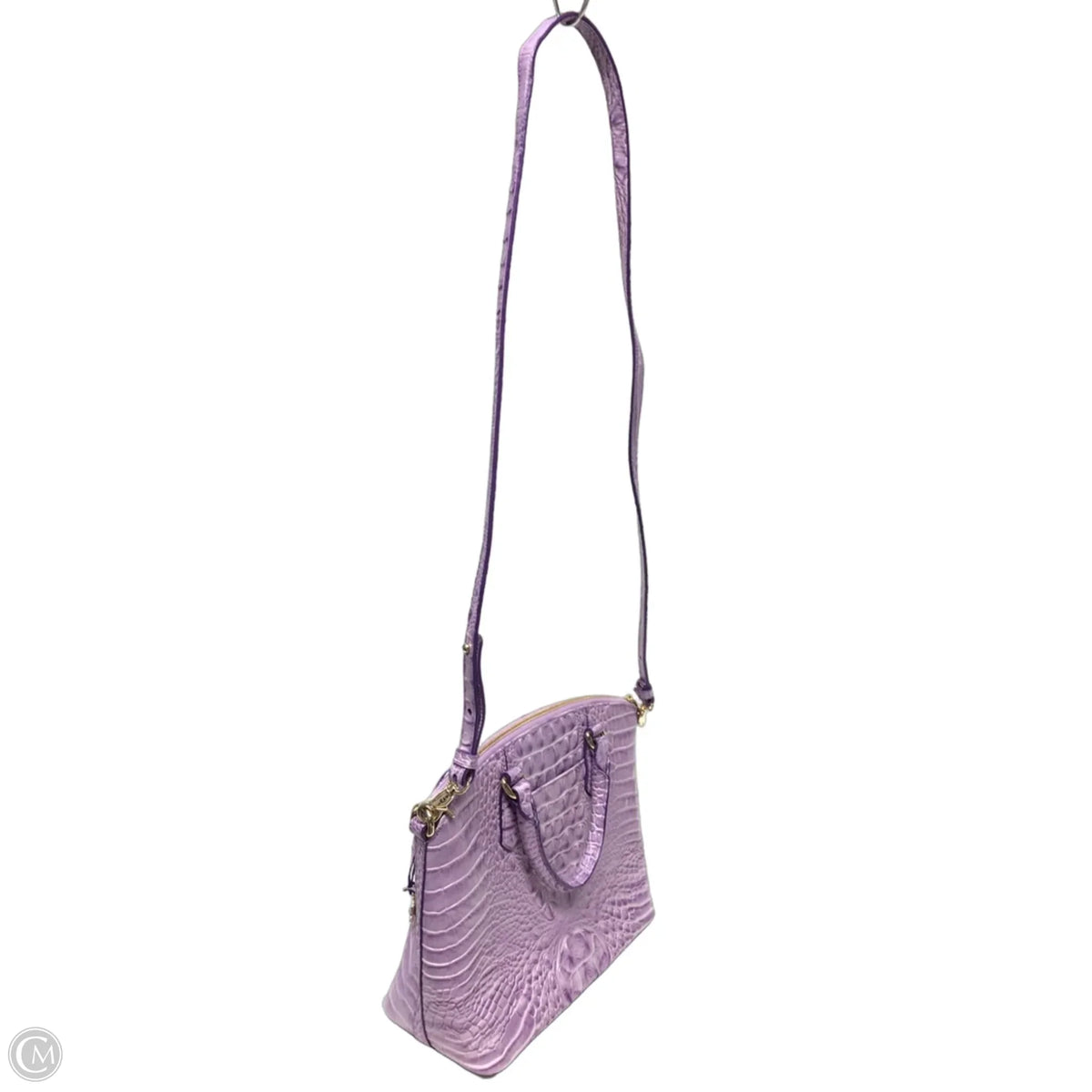 Handbag Designer By Brahmin