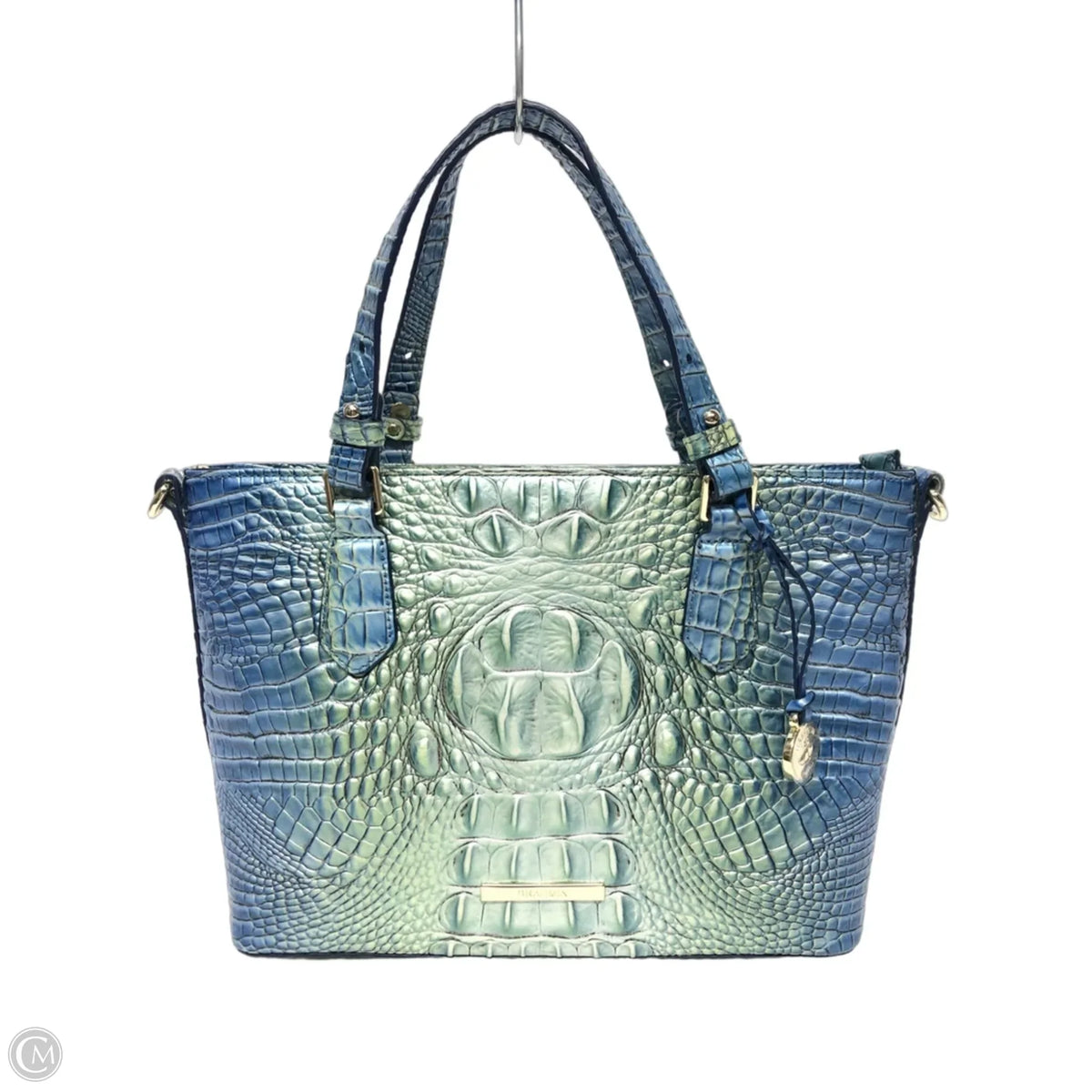 Handbag Designer By Brahmin