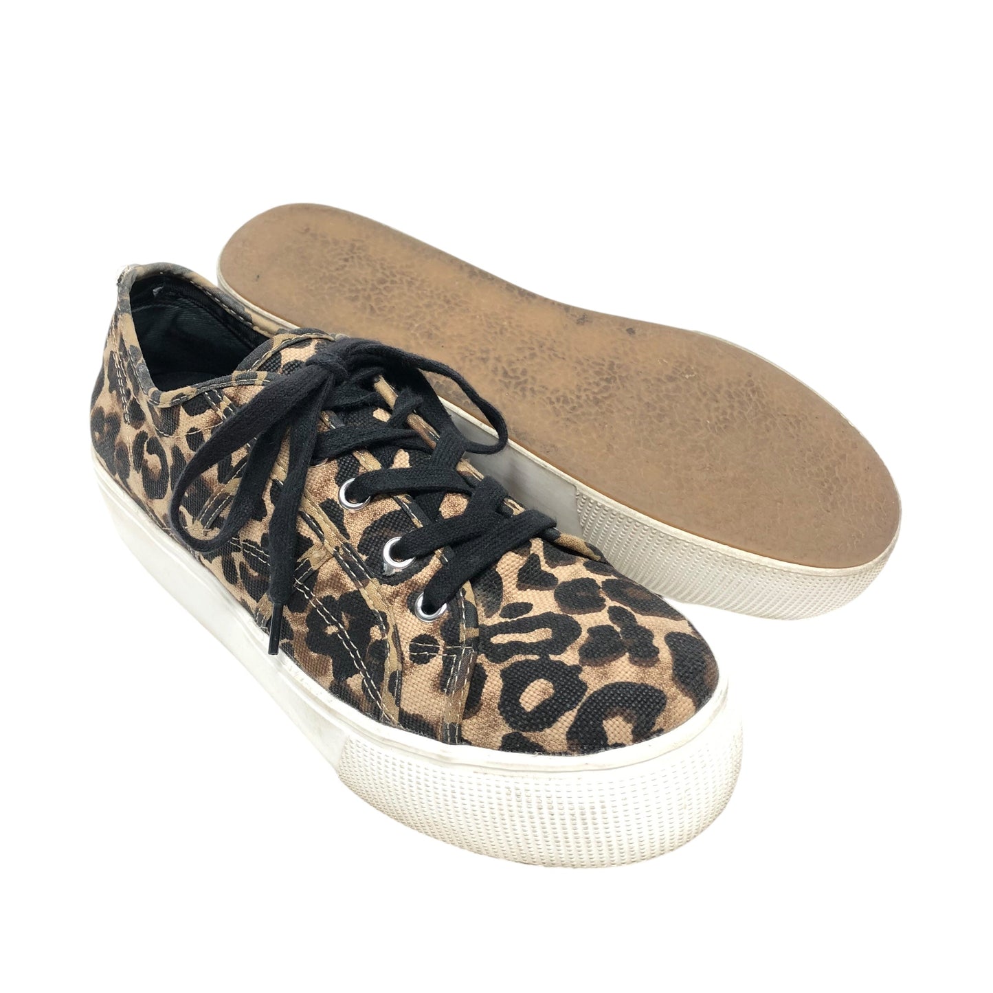 Shoes Sneakers By Steve Madden In Leopard Print, Size: 9