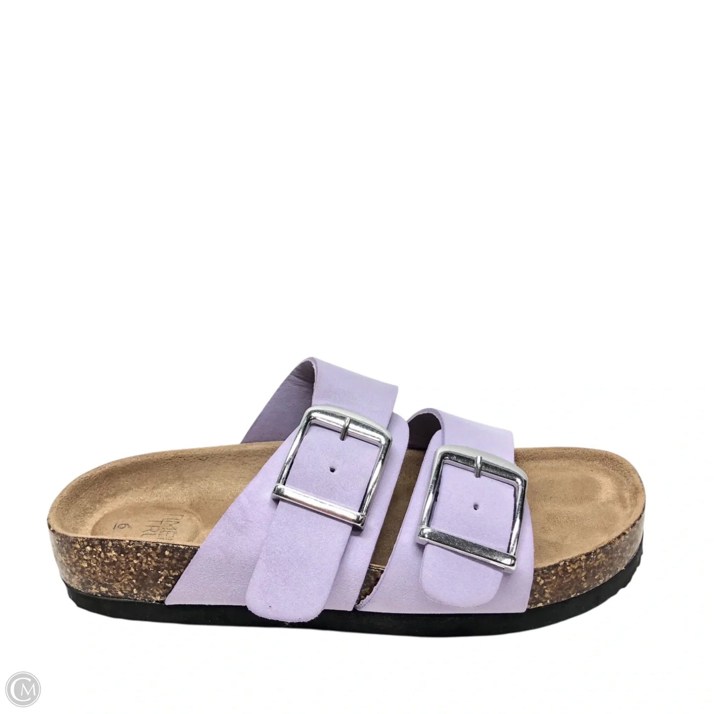 Sandals Flats By Time And Tru In Purple, Size: 6