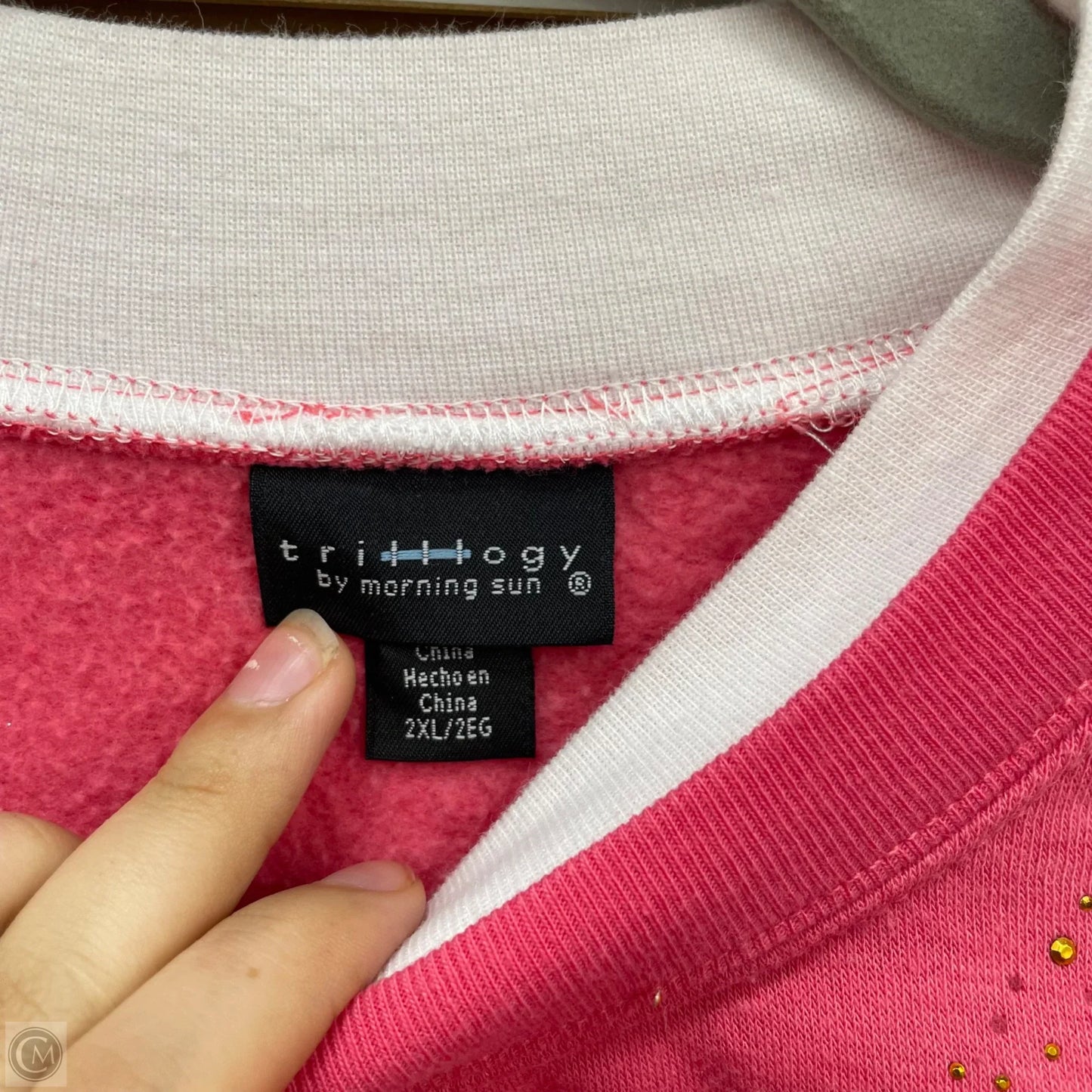 Sweatshirt Crewneck By Clothes Mentor In Pink, Size: 2x