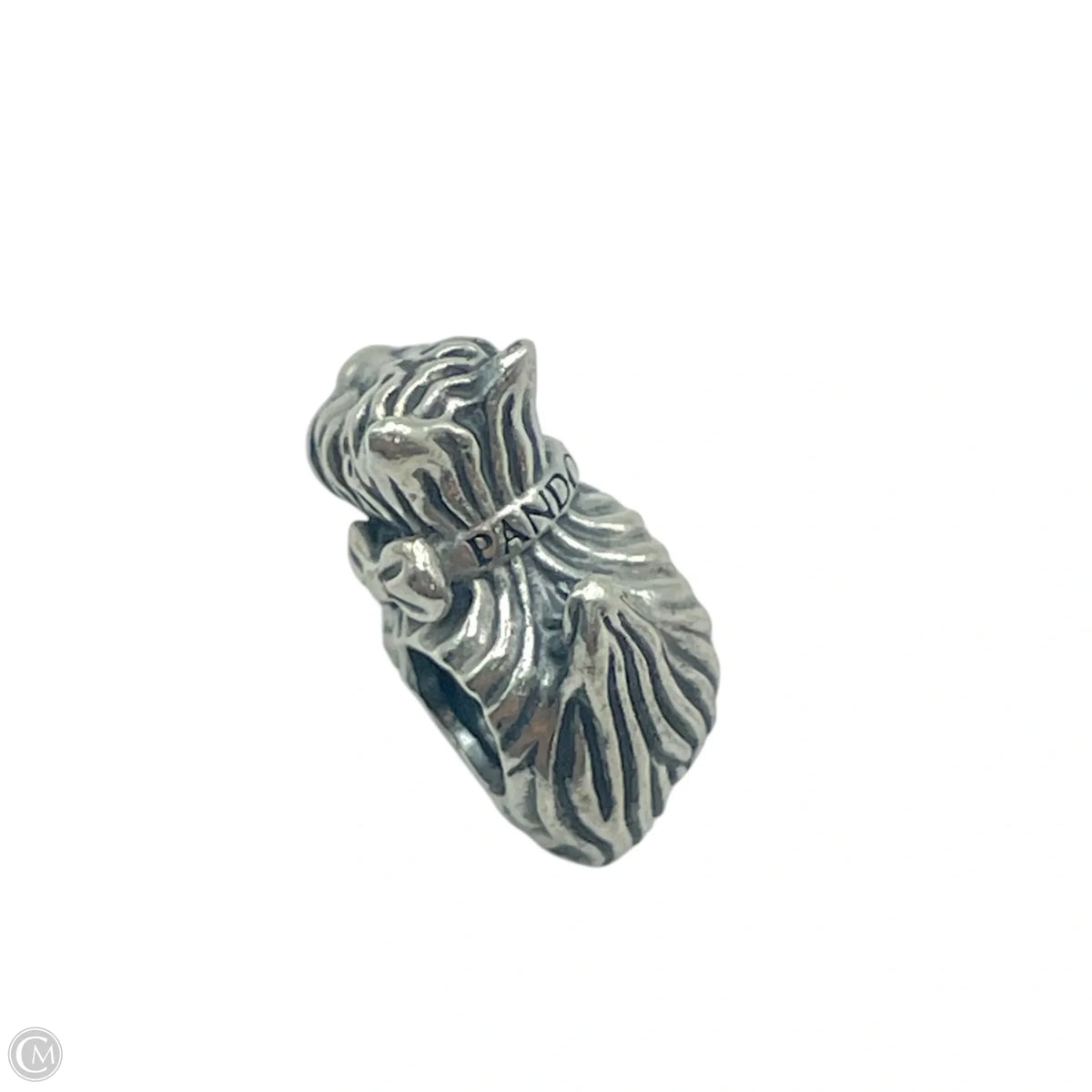 Bracelet Charm By Pandora