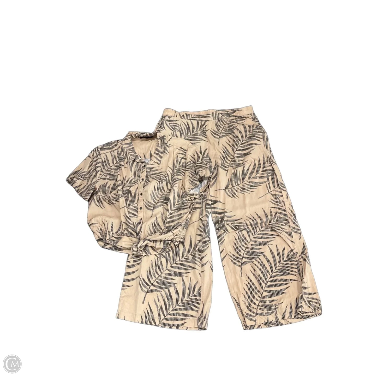 Pants Set 2pc By Jane And Delancey In Black & Brown, Size: Xl