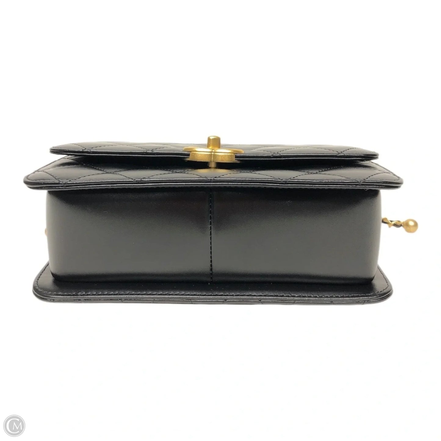 Crossbody Luxury Designer By Chanel