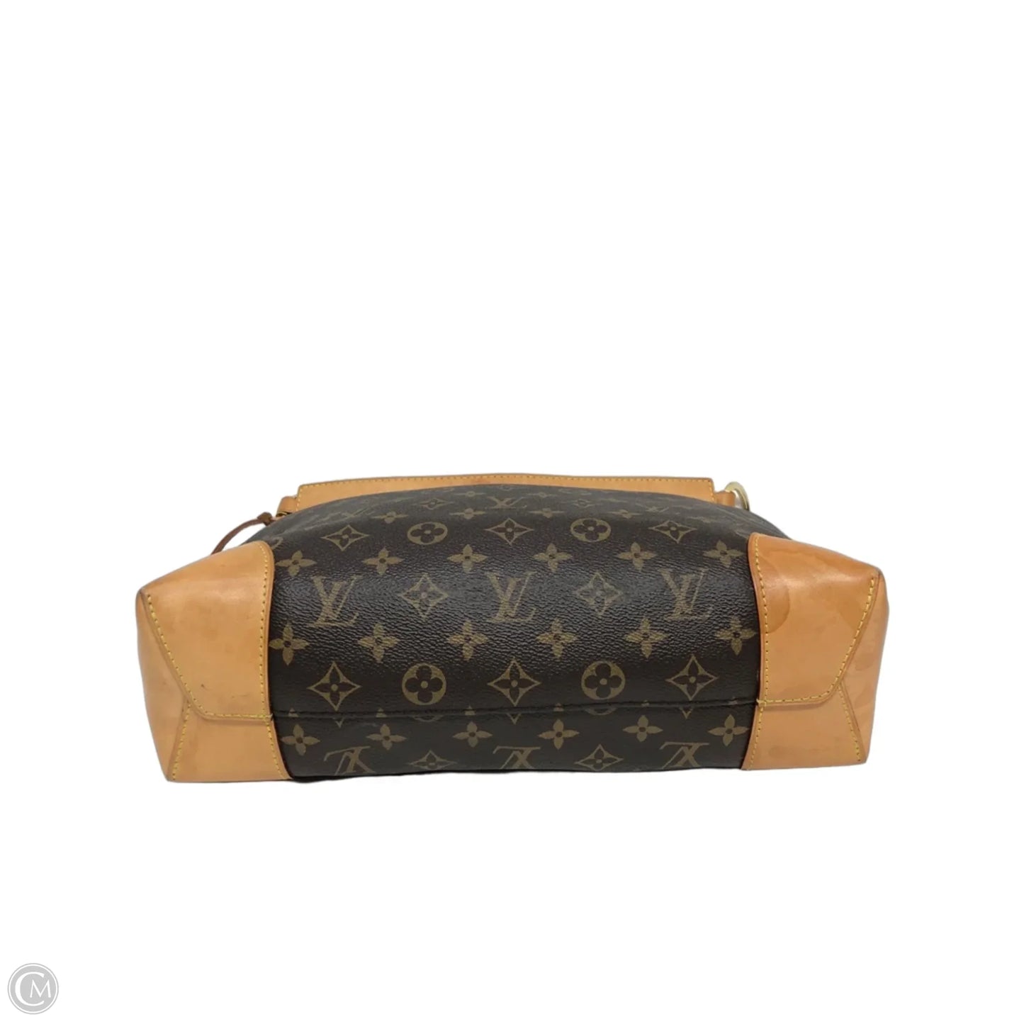 Handbag Luxury Designer By Louis Vuitton