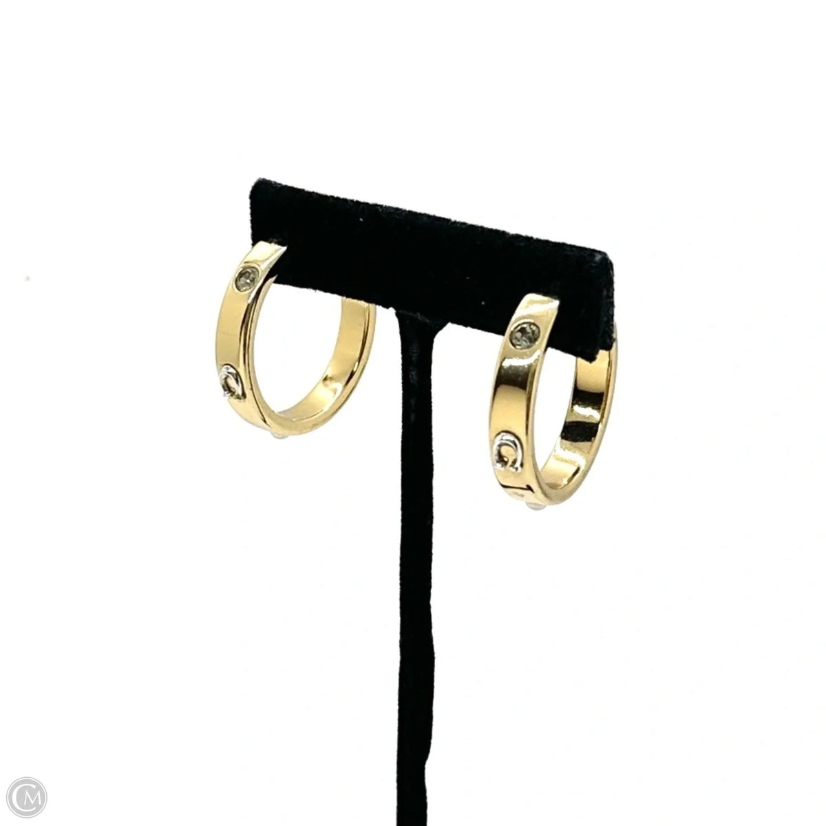 Earrings Designer By Coach