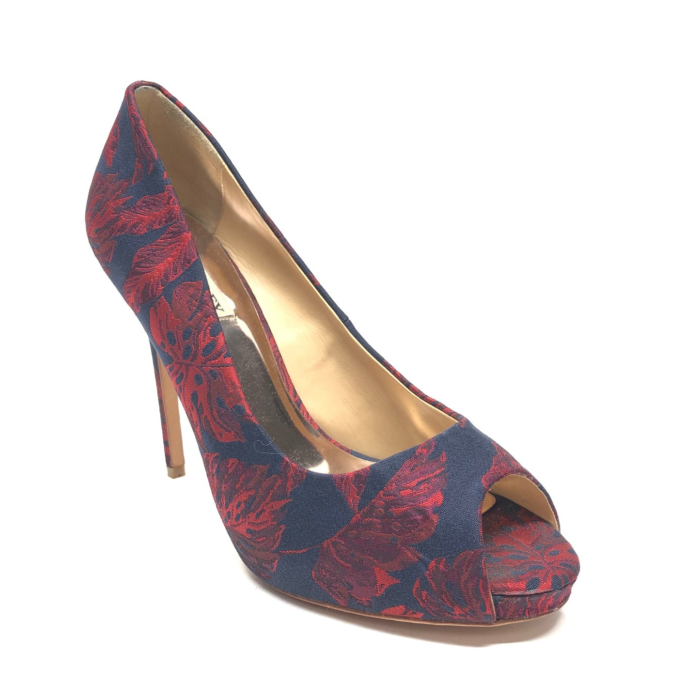 Shoes Heels Stiletto By Badgley Mischka In Blue & Red, Size: 10