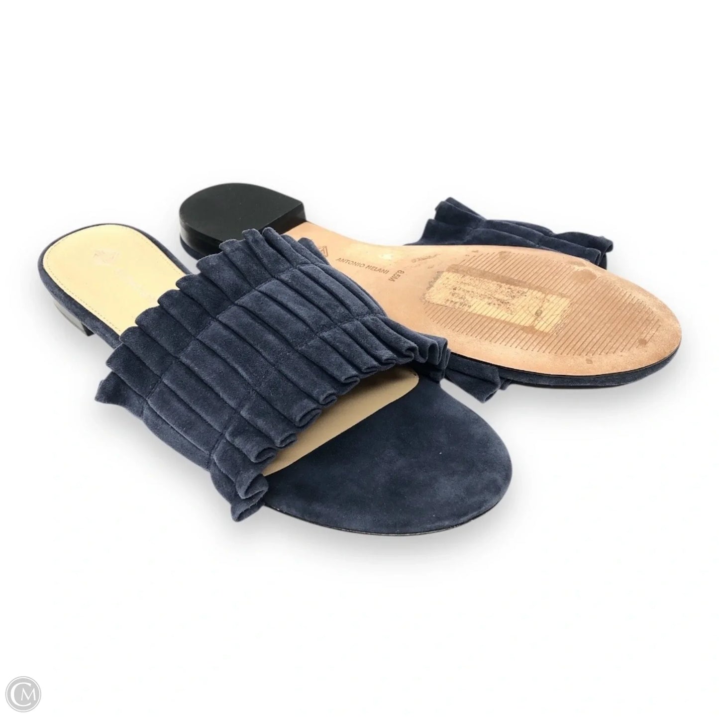Sandals Flats By Antonio Melani In Blue, Size: 8.5
