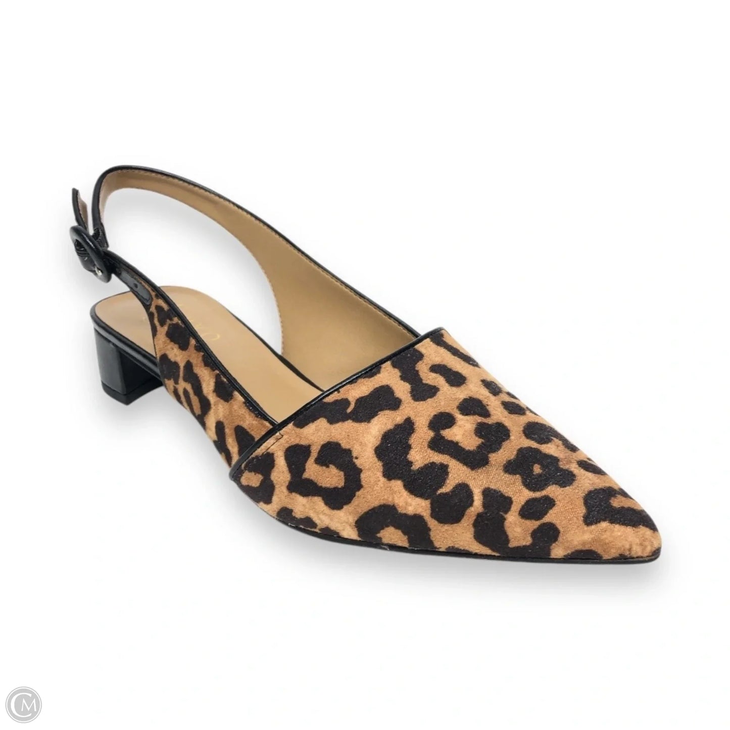 Shoes Heels Block By Franco Sarto In Animal Print, Size: 7