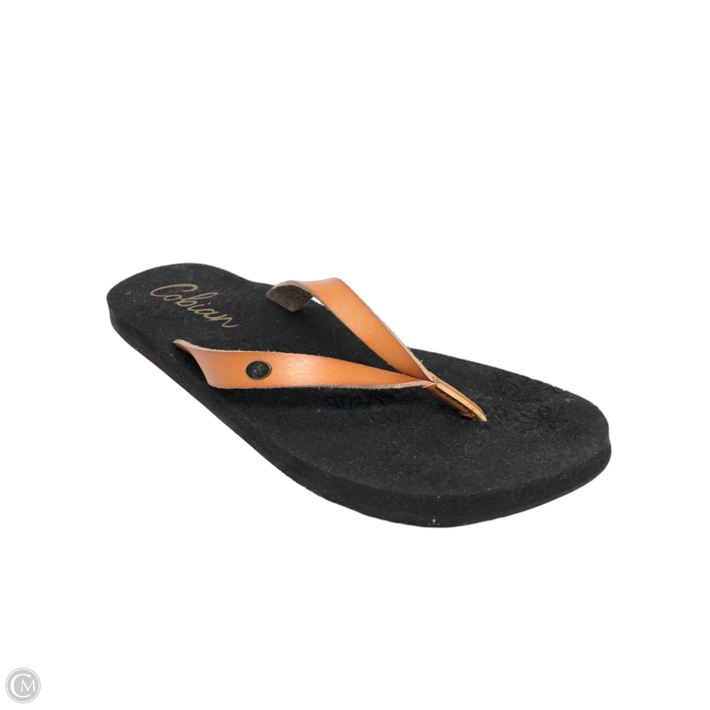 Sandals Flip Flops By Clothes Mentor In Brown, Size: 9
