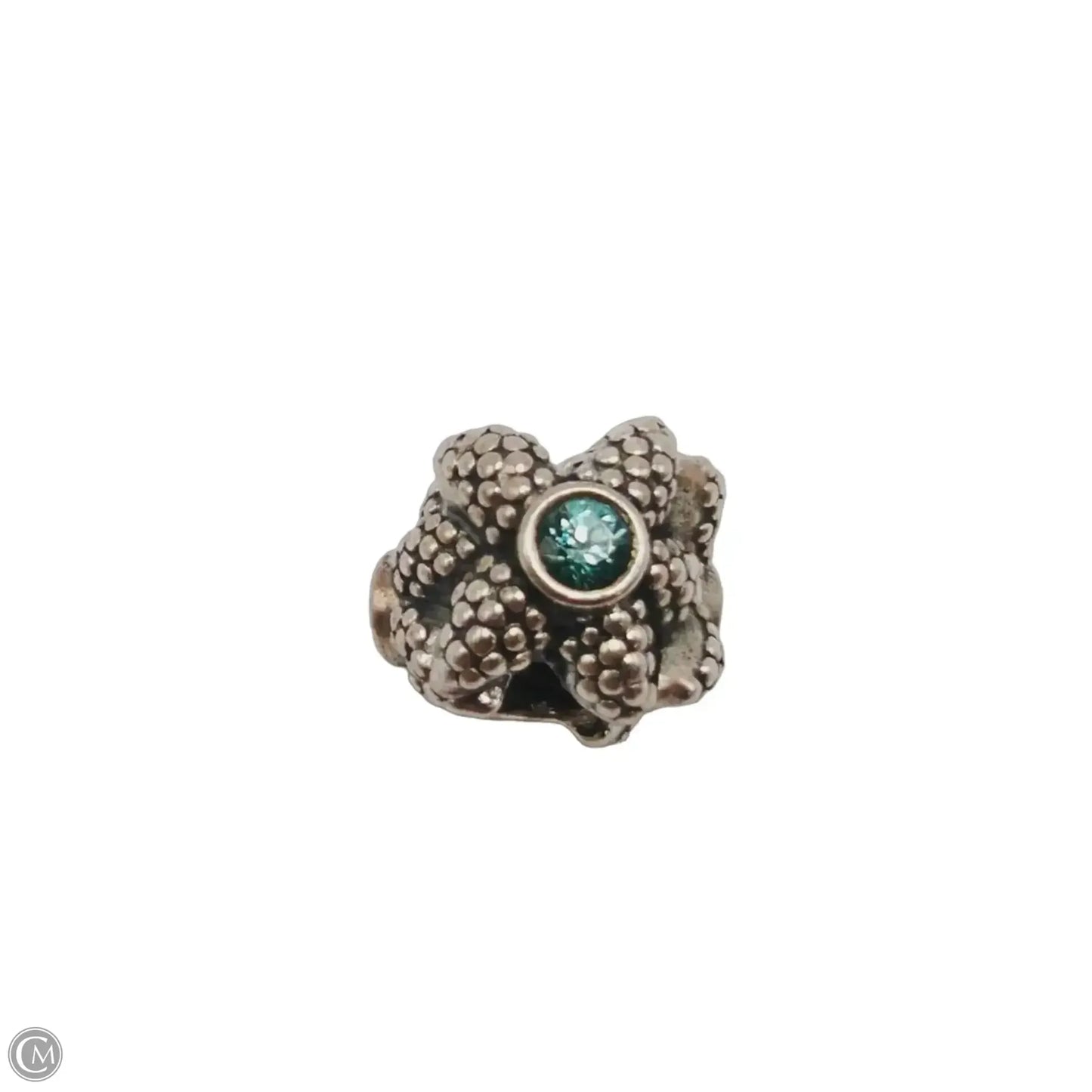 Jewelry Charm By Pandora