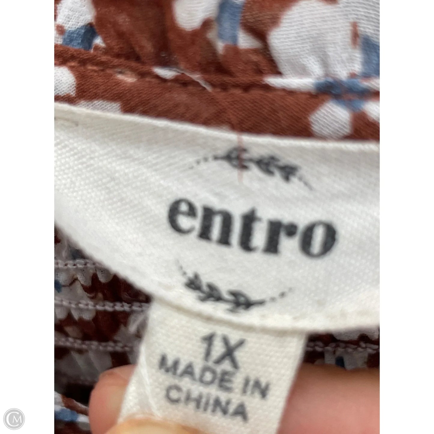 Top Short Sleeve By Entro In Brown, Size: 1x