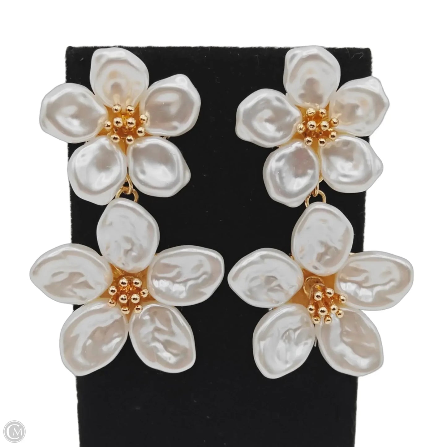 Earrings Dangle/drop By Clothes Mentor