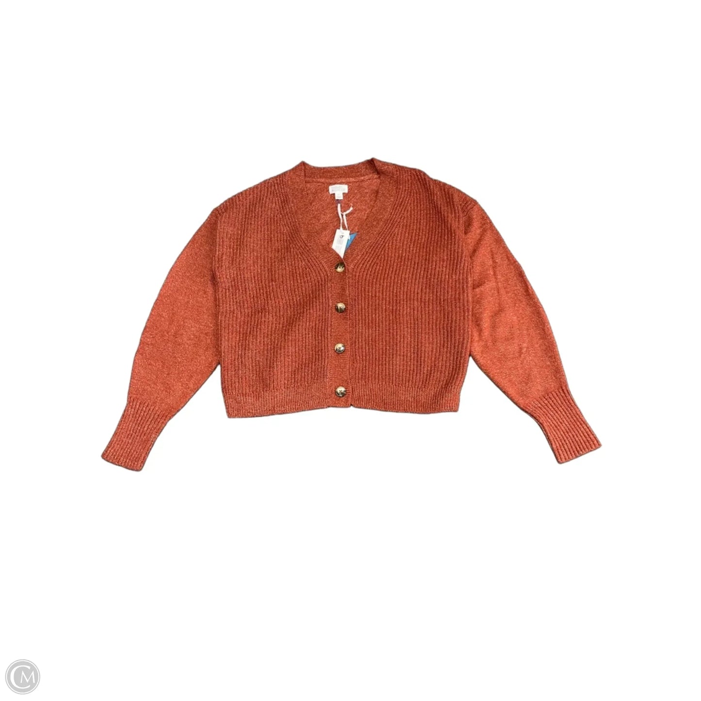Sweater Cardigan By Market & Spruce In Orange, Size: Xl